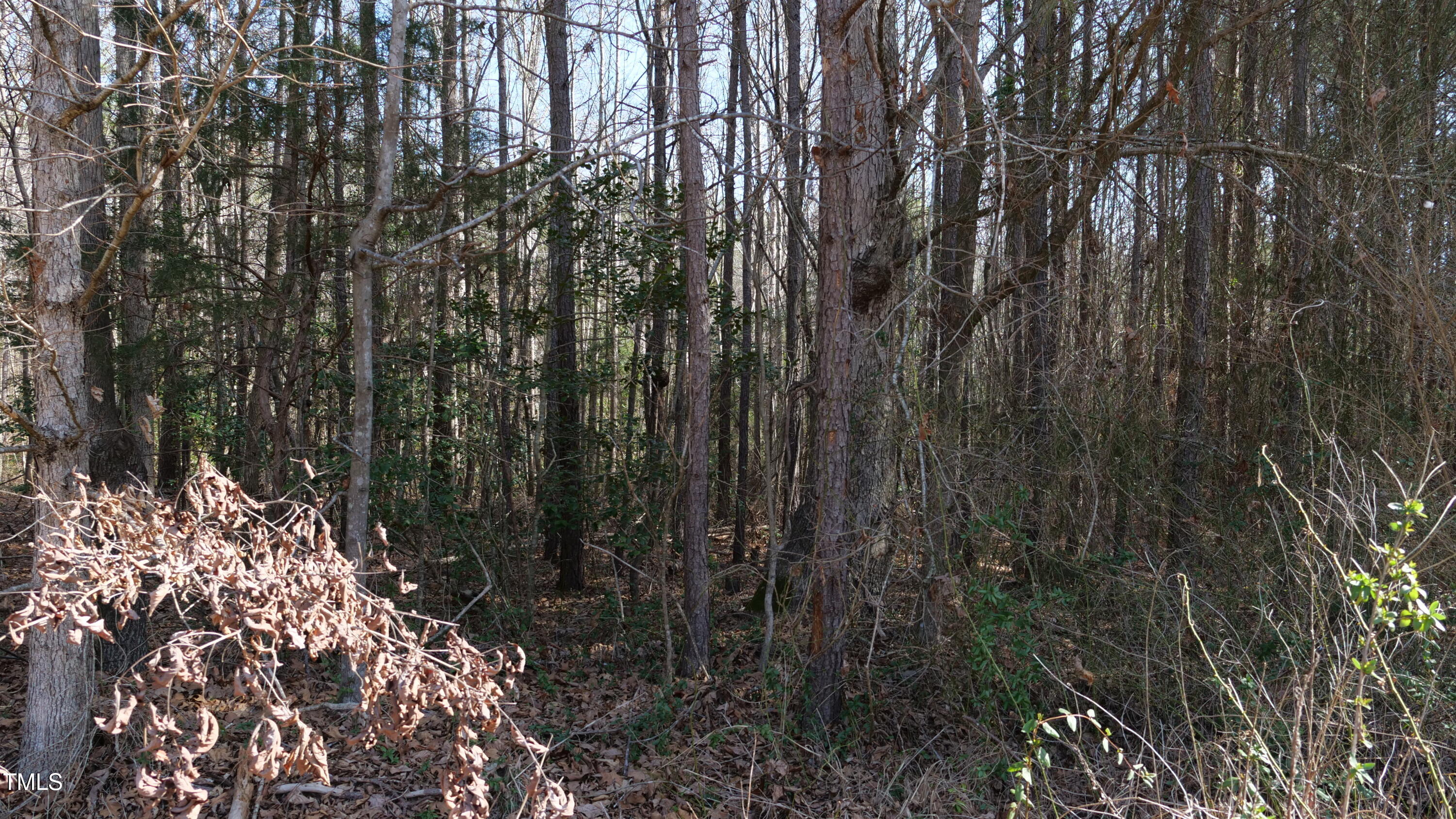 0 Beamon Hunt Road Property Photo 16