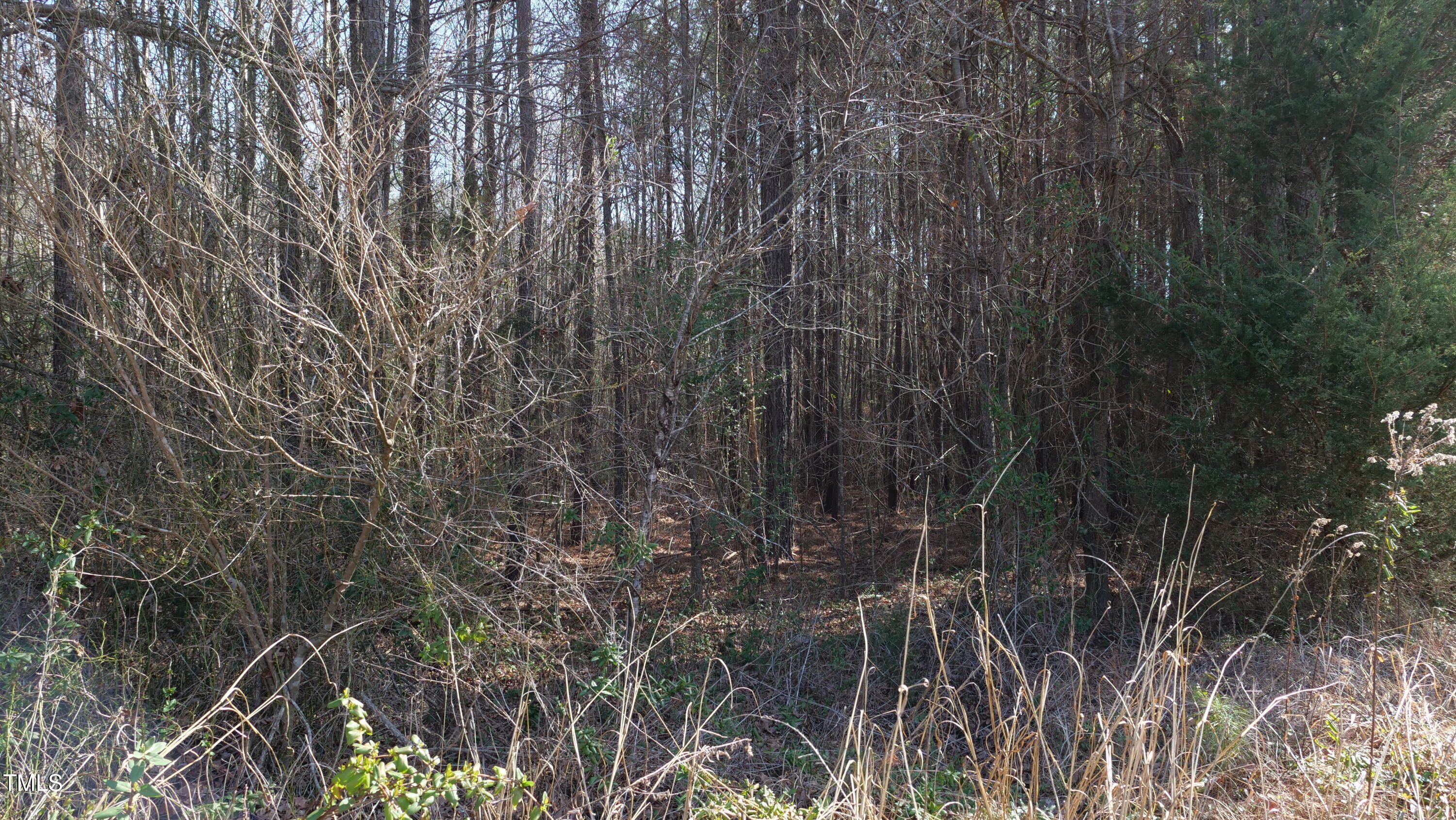 0 Beamon Hunt Road Property Photo 17