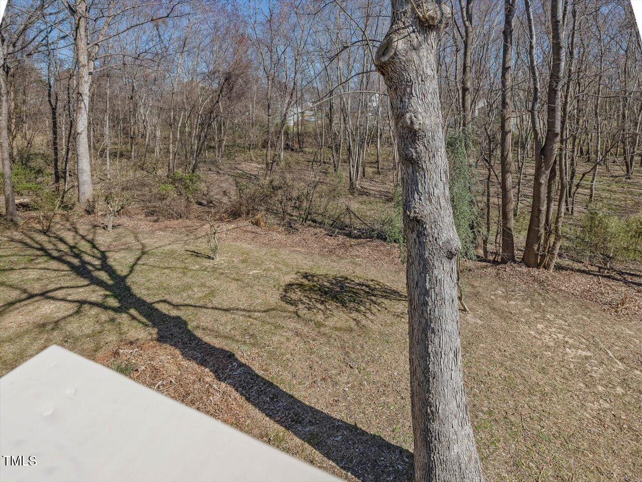 1961 Indianwood Court Property Photo 26