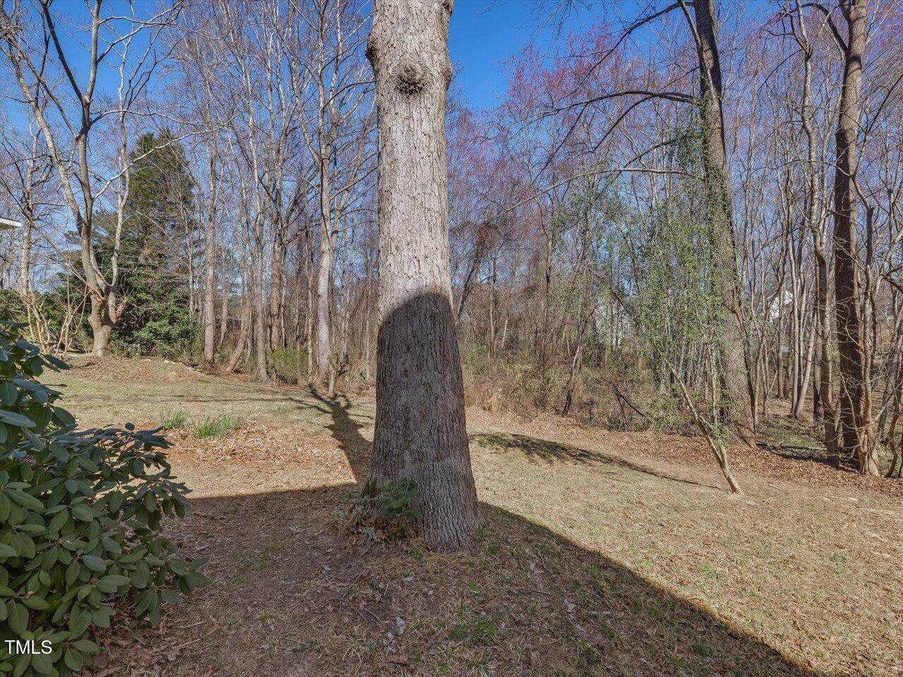 1961 Indianwood Court Property Photo 57