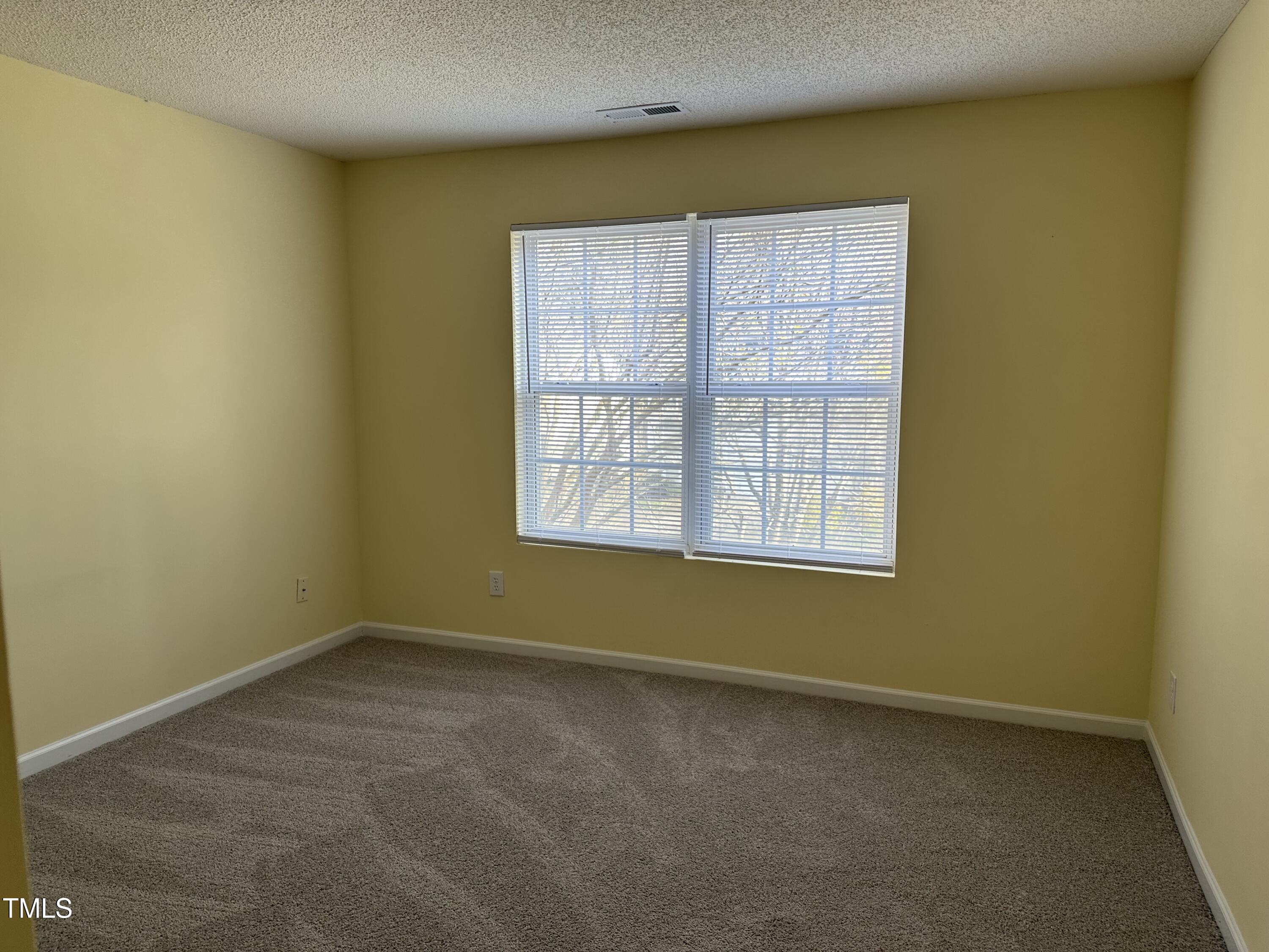 316 Arbor Greene Drive Property Photo 26
