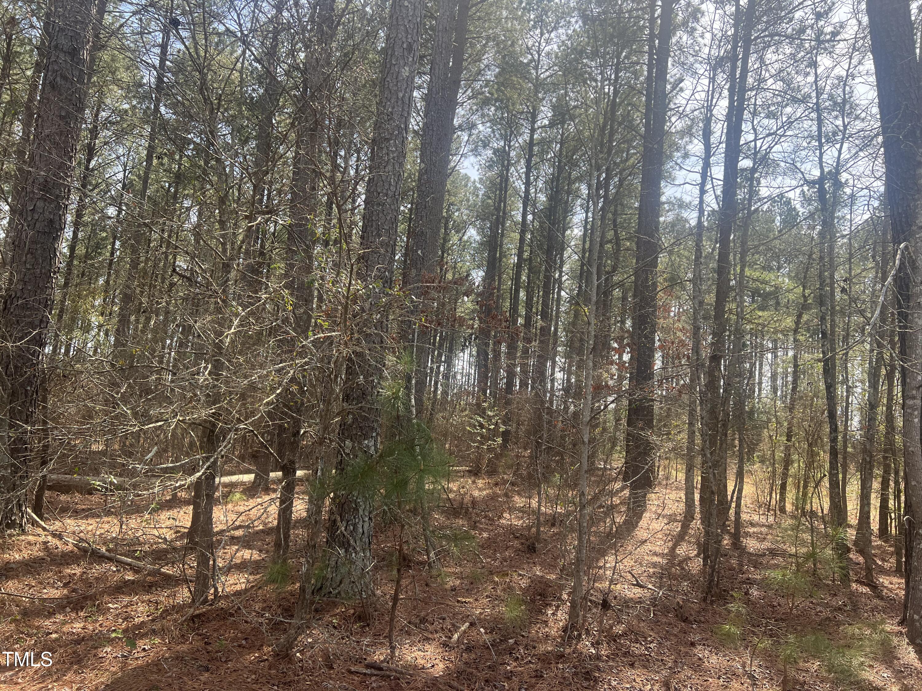 0 Chesley Lane Property Photo