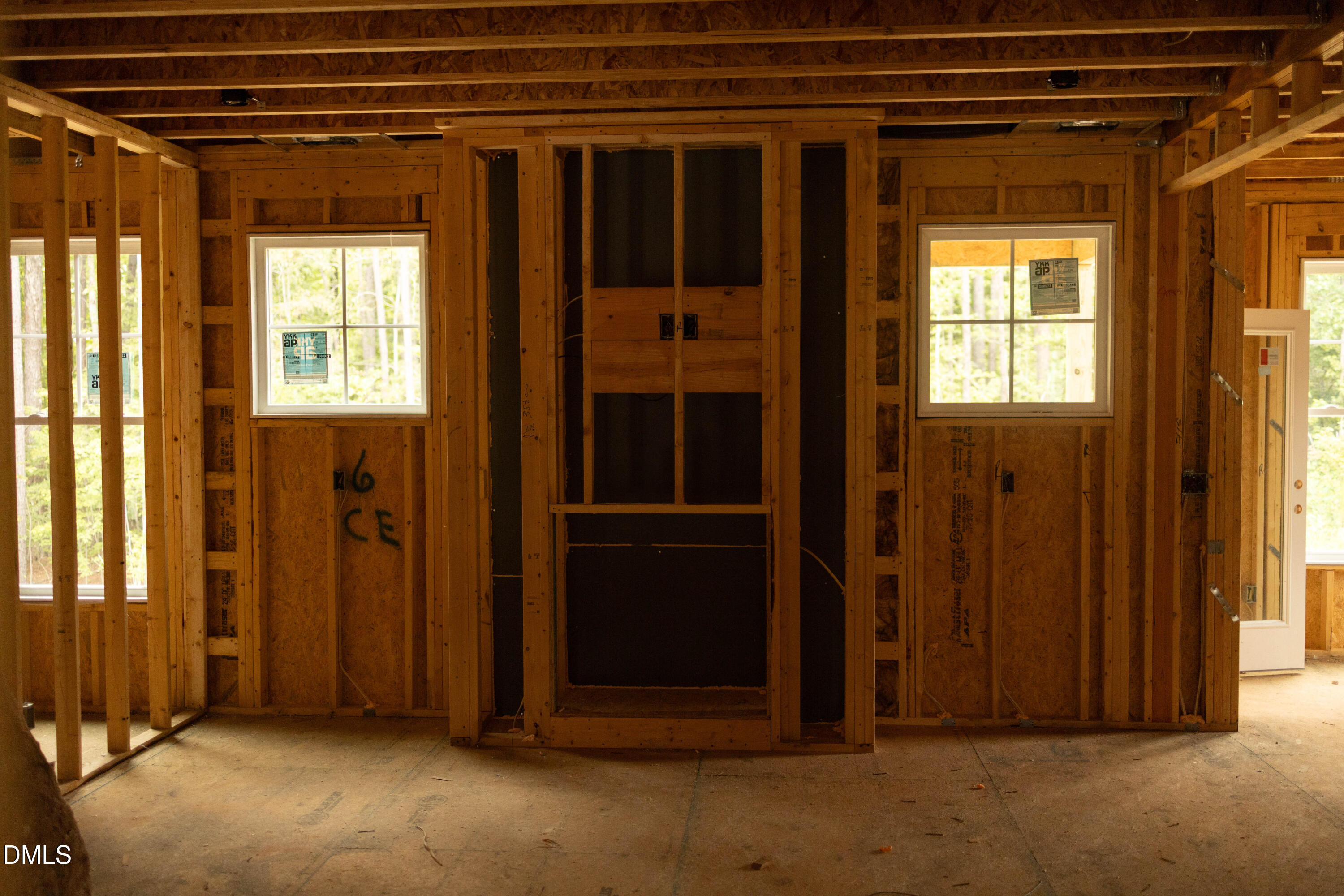 316 Little Lady Trail Property Photo 4