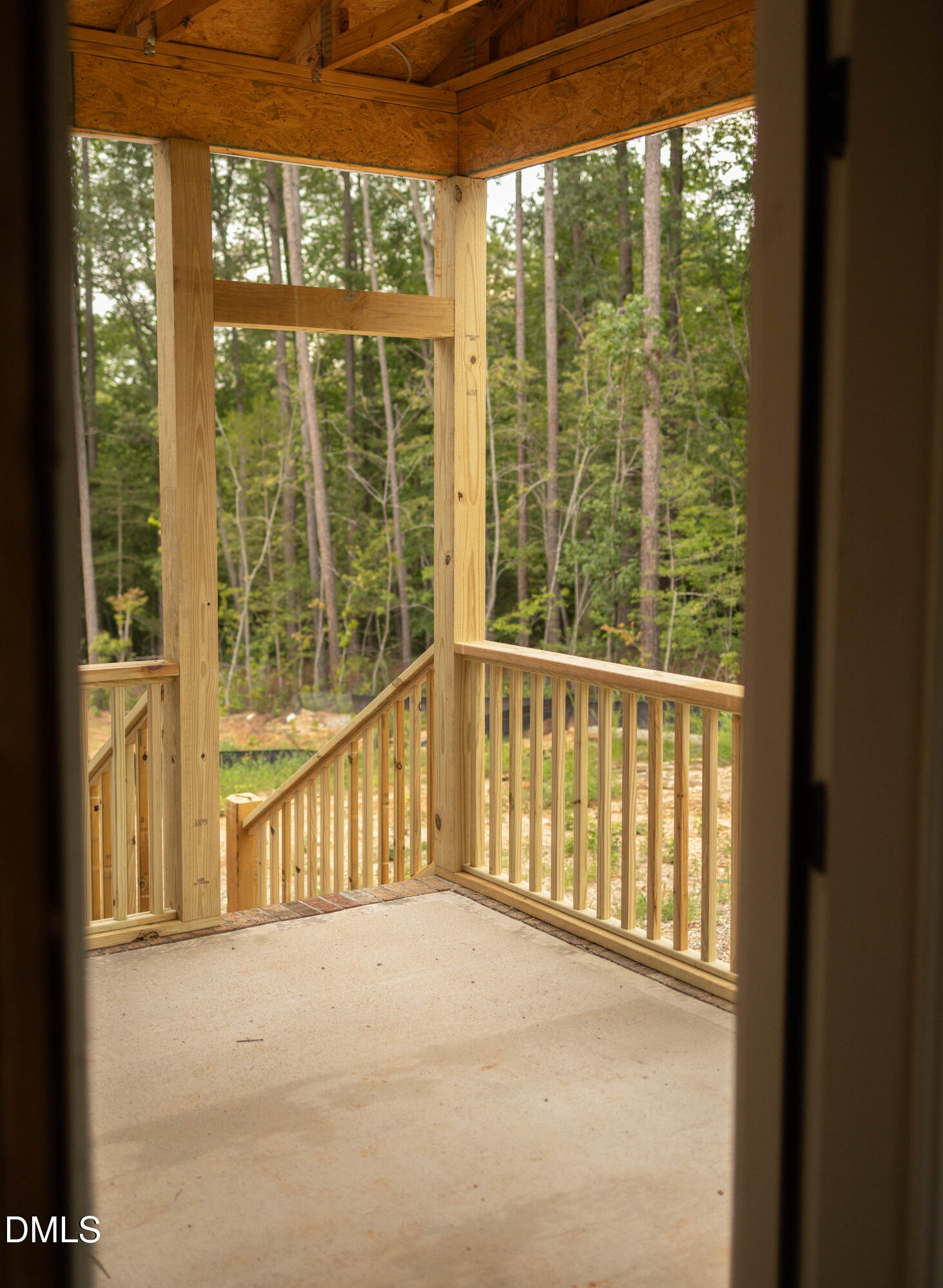 316 Little Lady Trail Property Photo 6