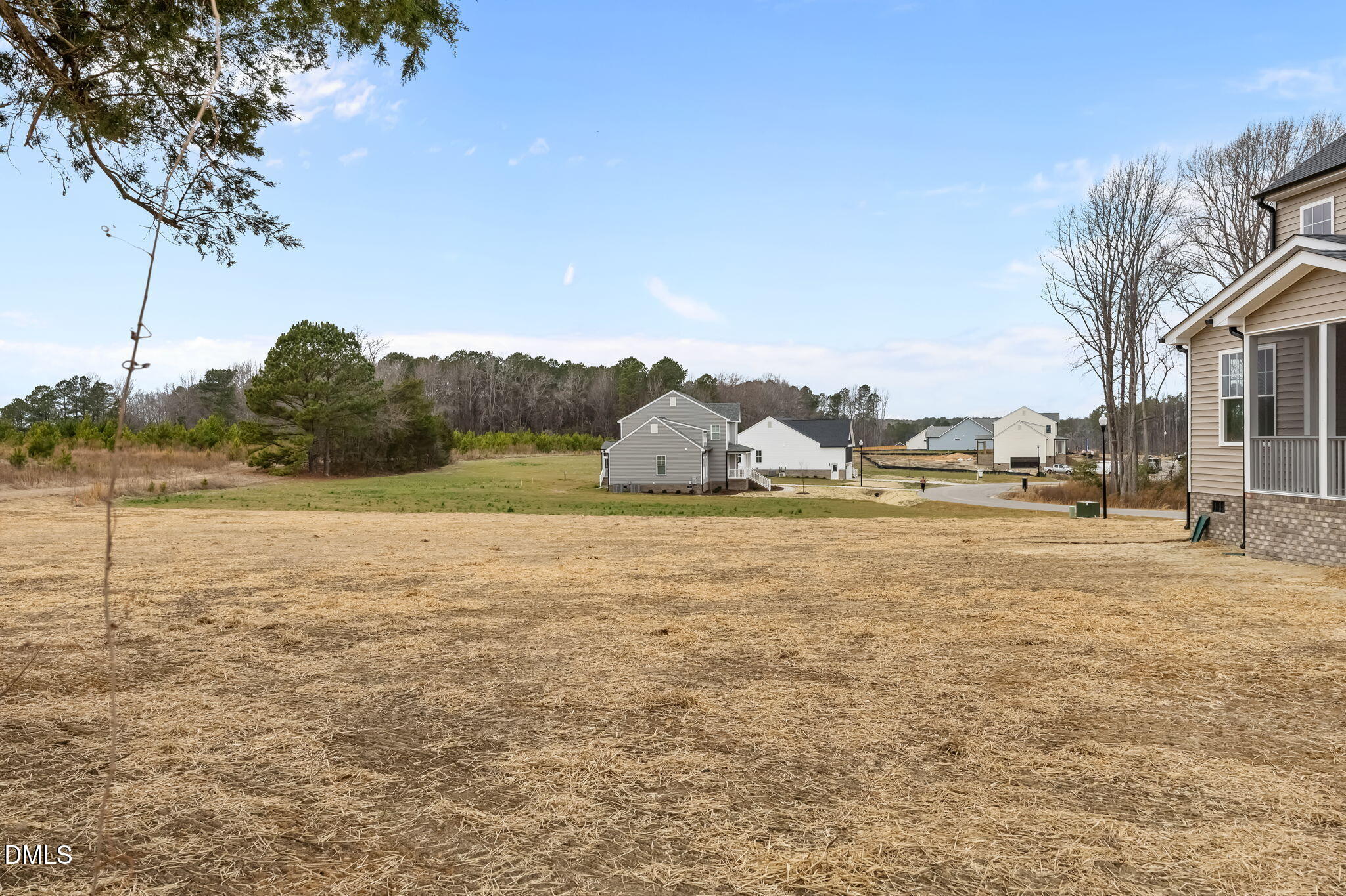 316 Little Lady Trail Property Photo 18