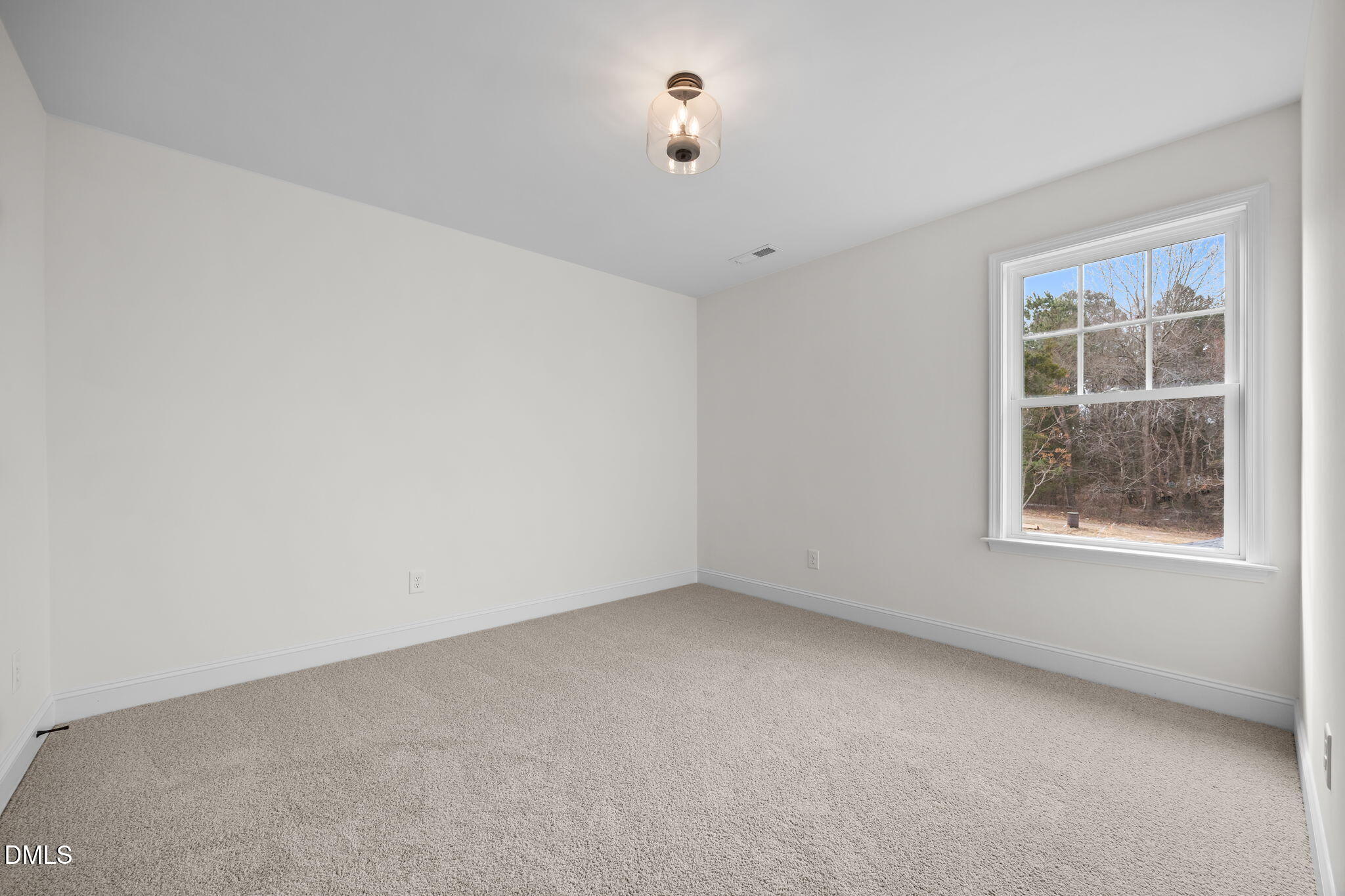 316 Little Lady Trail Property Photo 59