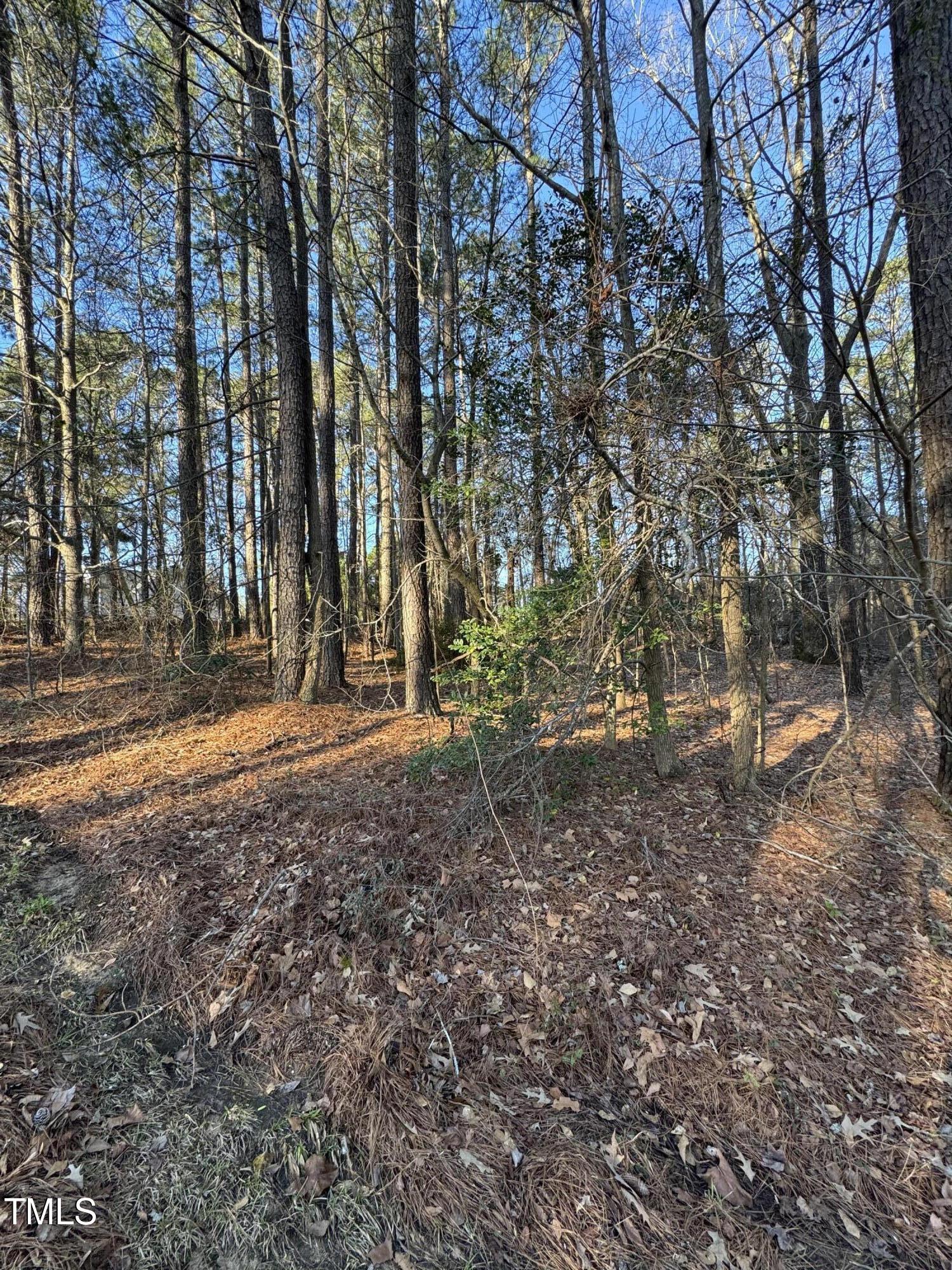 2005 Autumn Court Property Photo 3