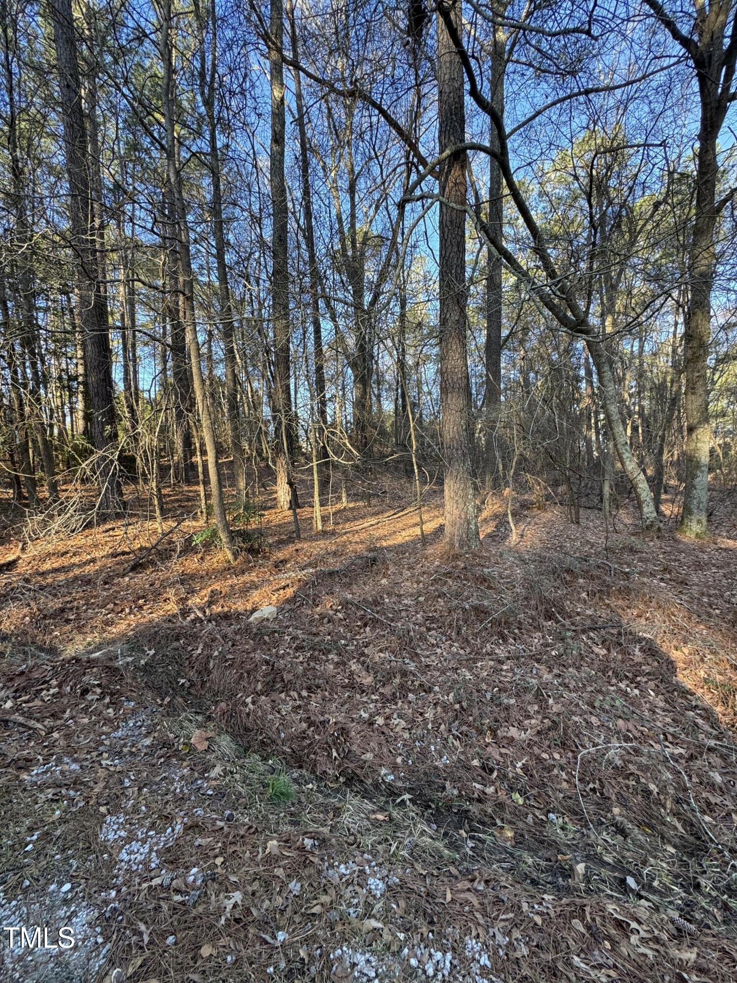 2005 Autumn Court Property Photo 5