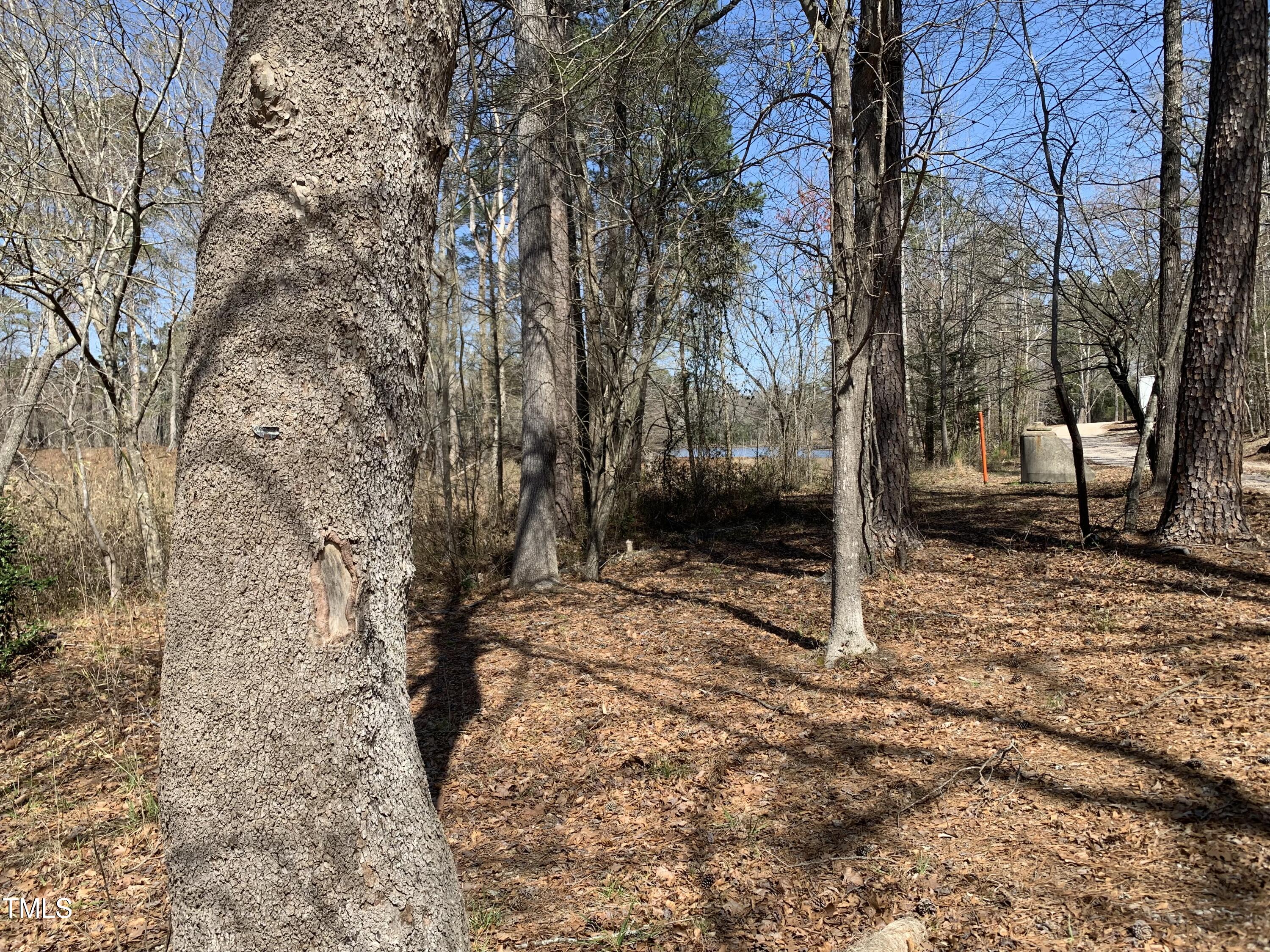 4505 Mitchell Mill Road Property Photo 6
