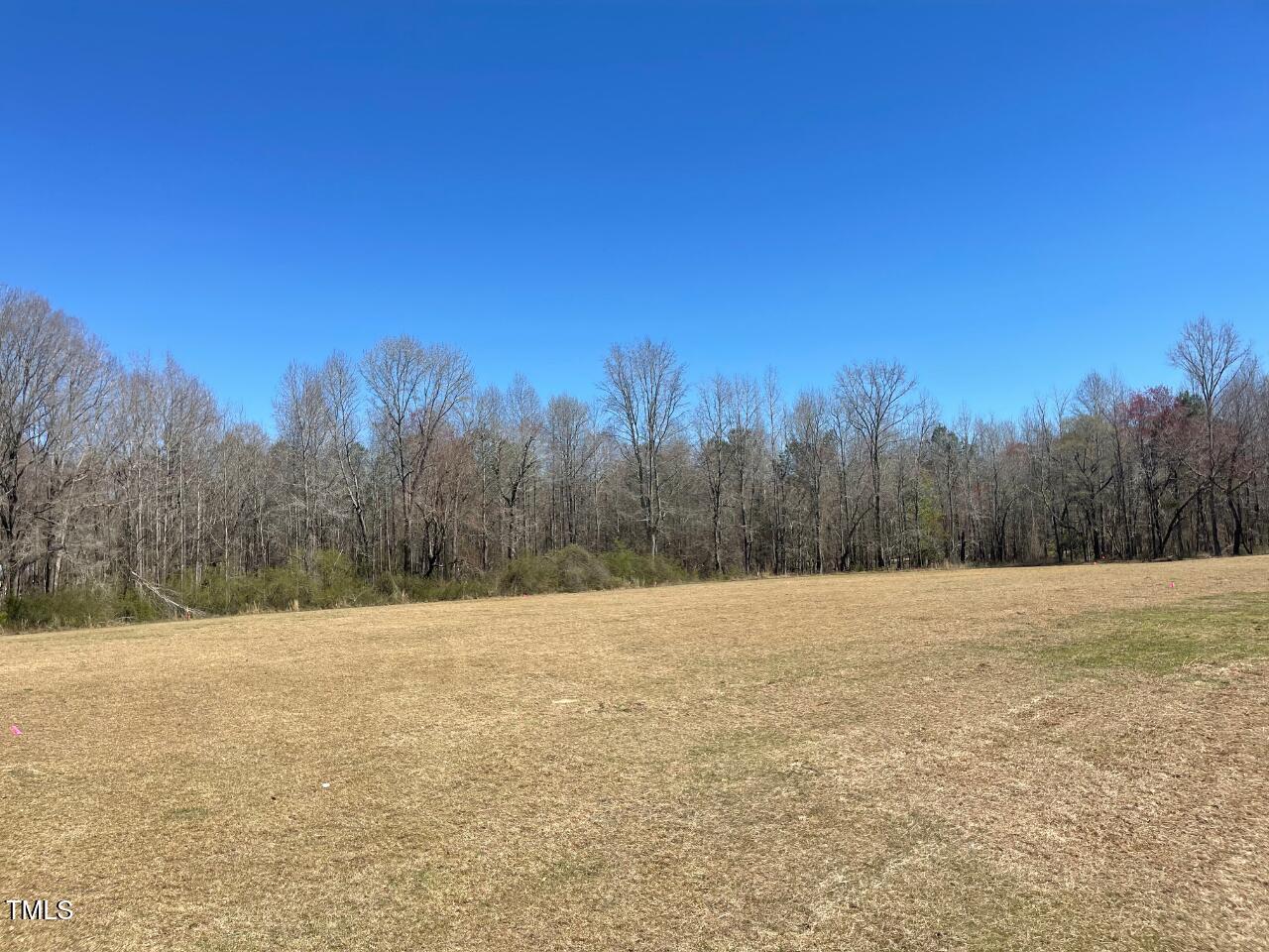 Lot 4 Sheriff Johnson Road Property Photo 2