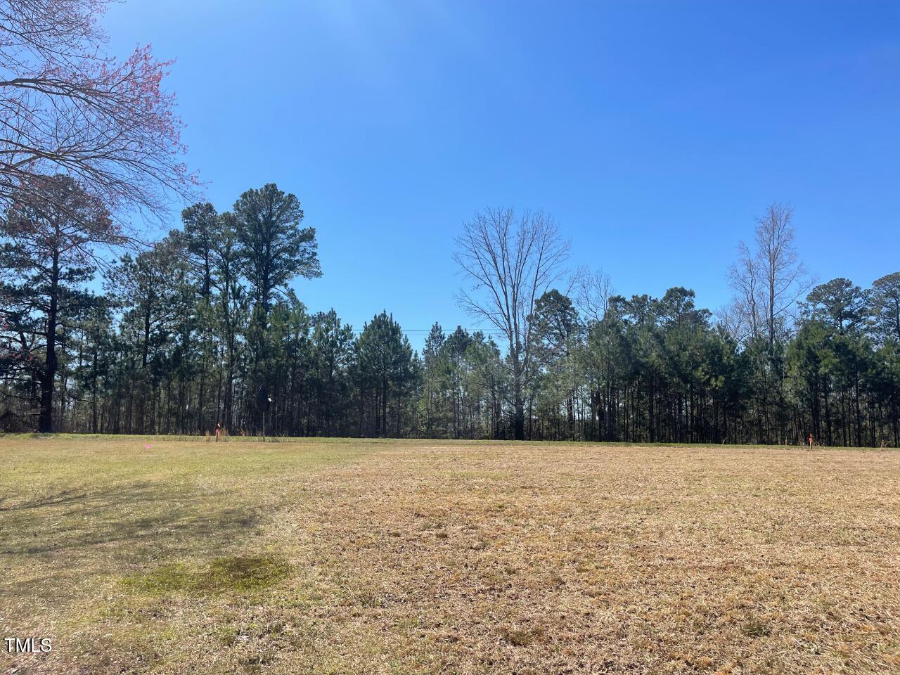 Lot 4 Sheriff Johnson Road Property Photo 4