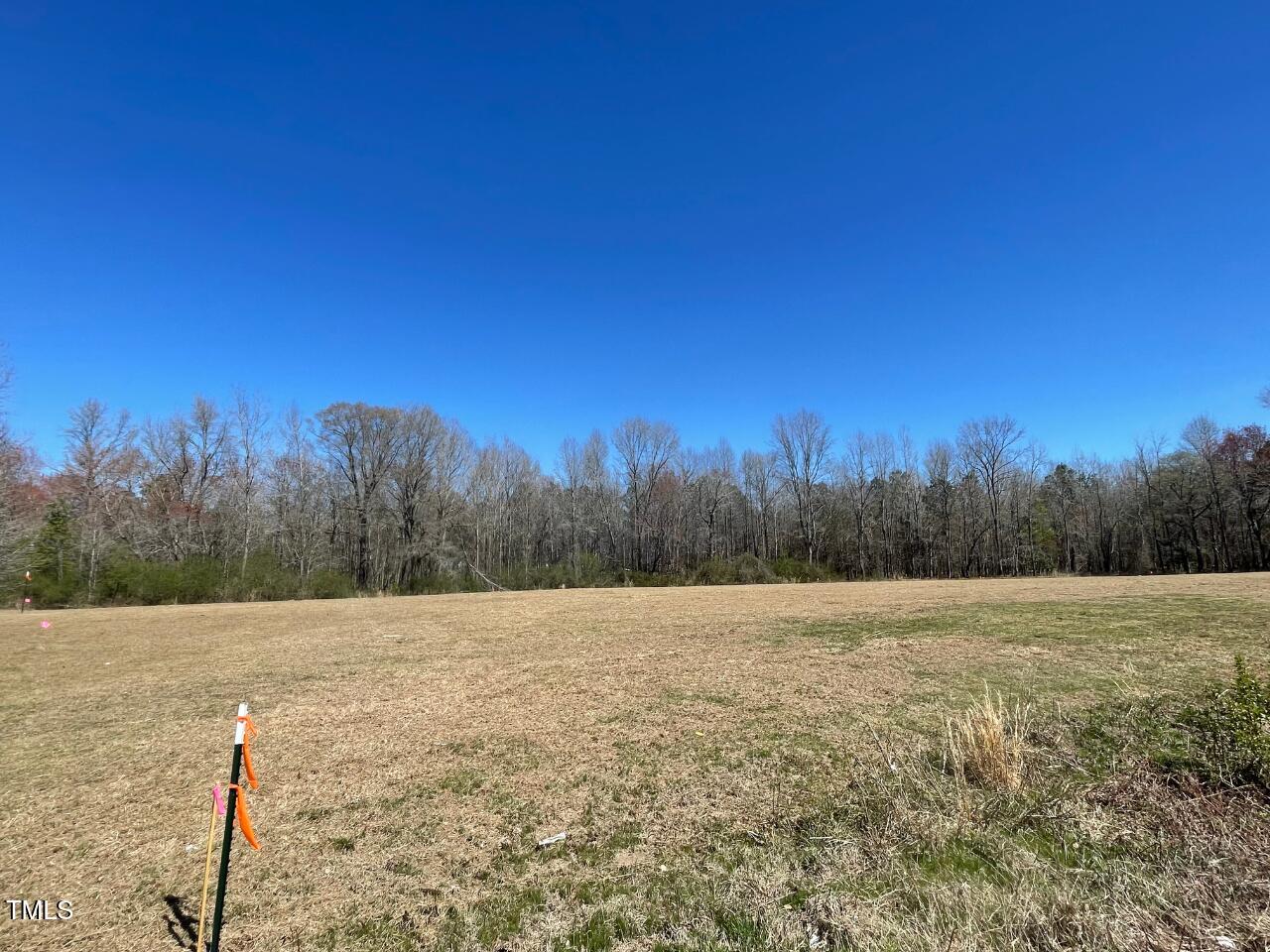 Lot 4 Sheriff Johnson Road Property Photo 8