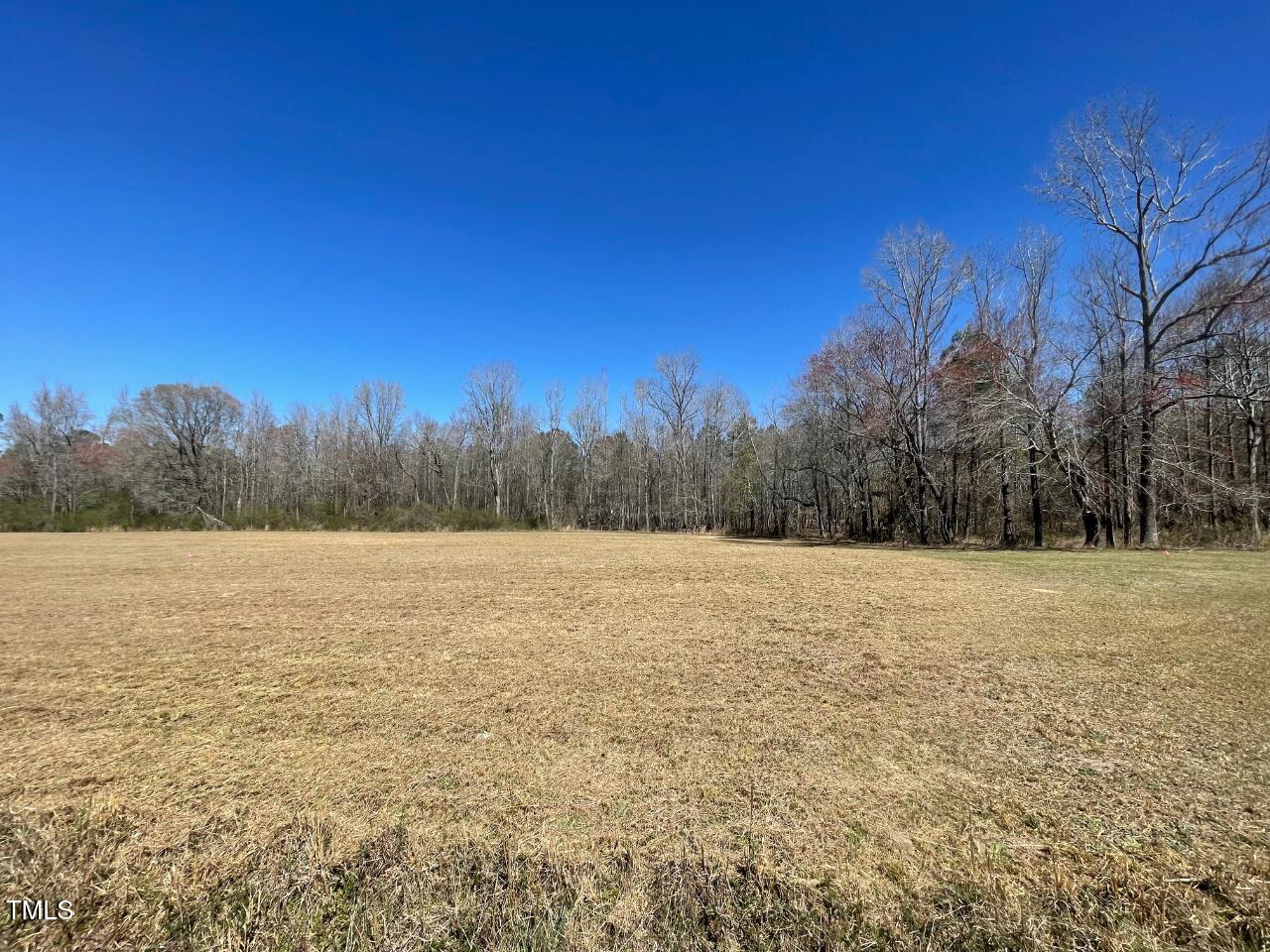 Lot 4 Sheriff Johnson Road Property Photo 9