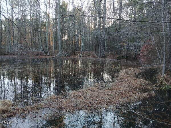 0 Bodie Currin Road Property Photo