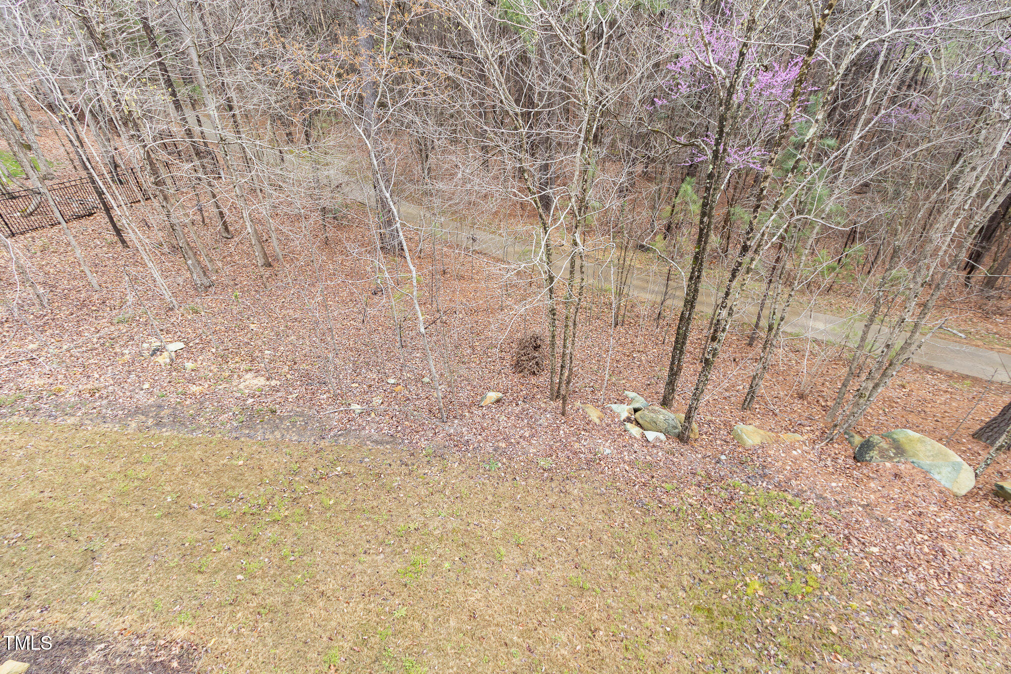 100 High Ridge Lane Property Photo 36