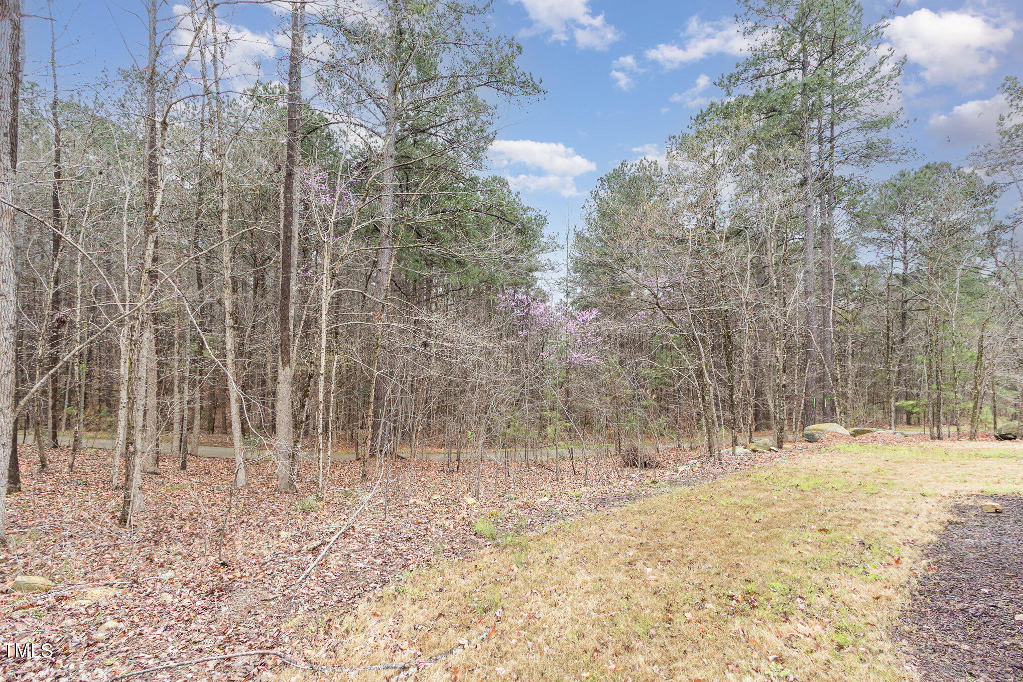 100 High Ridge Lane Property Photo 37
