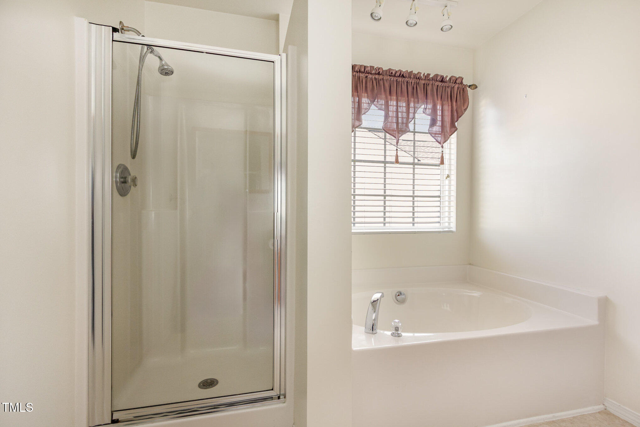1009 Limeberry Court Property Photo 22