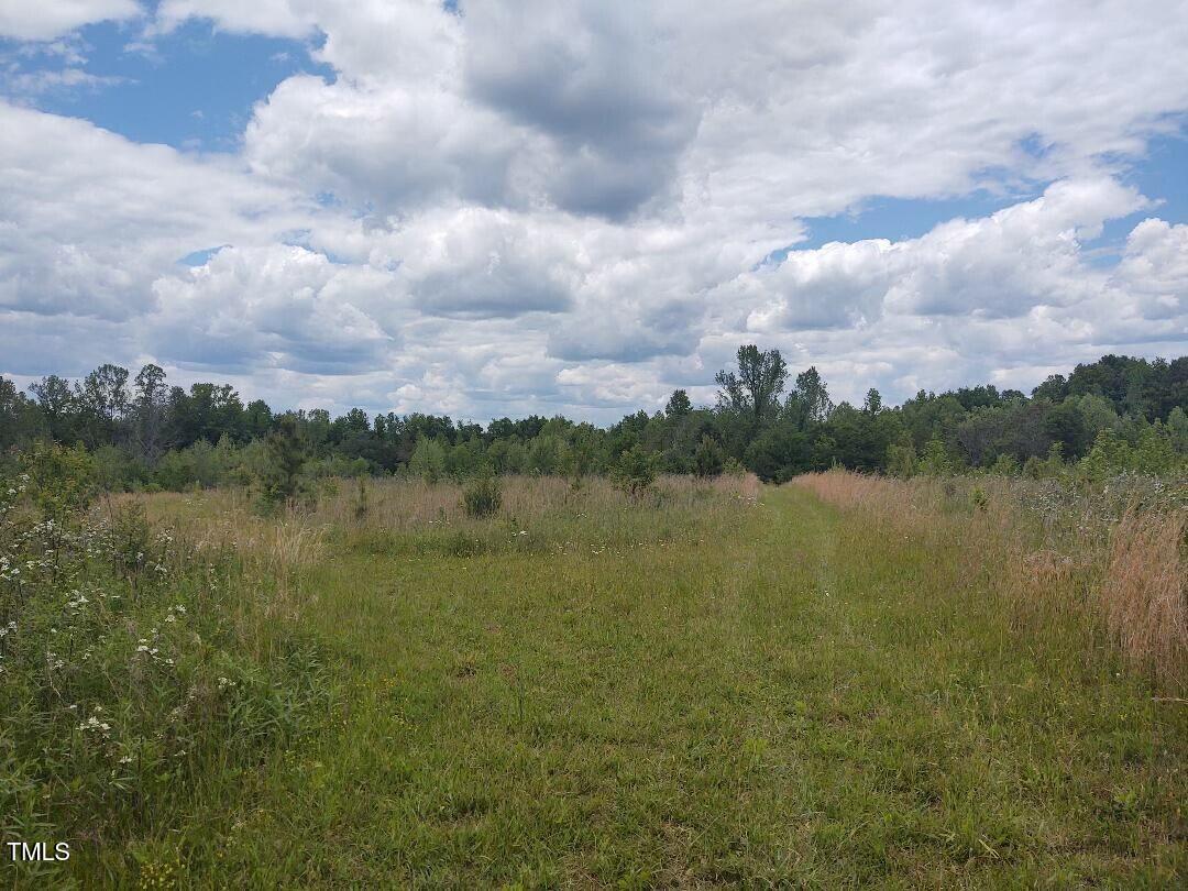 4842 Swepsonville Saxapahaw Road Property Photo