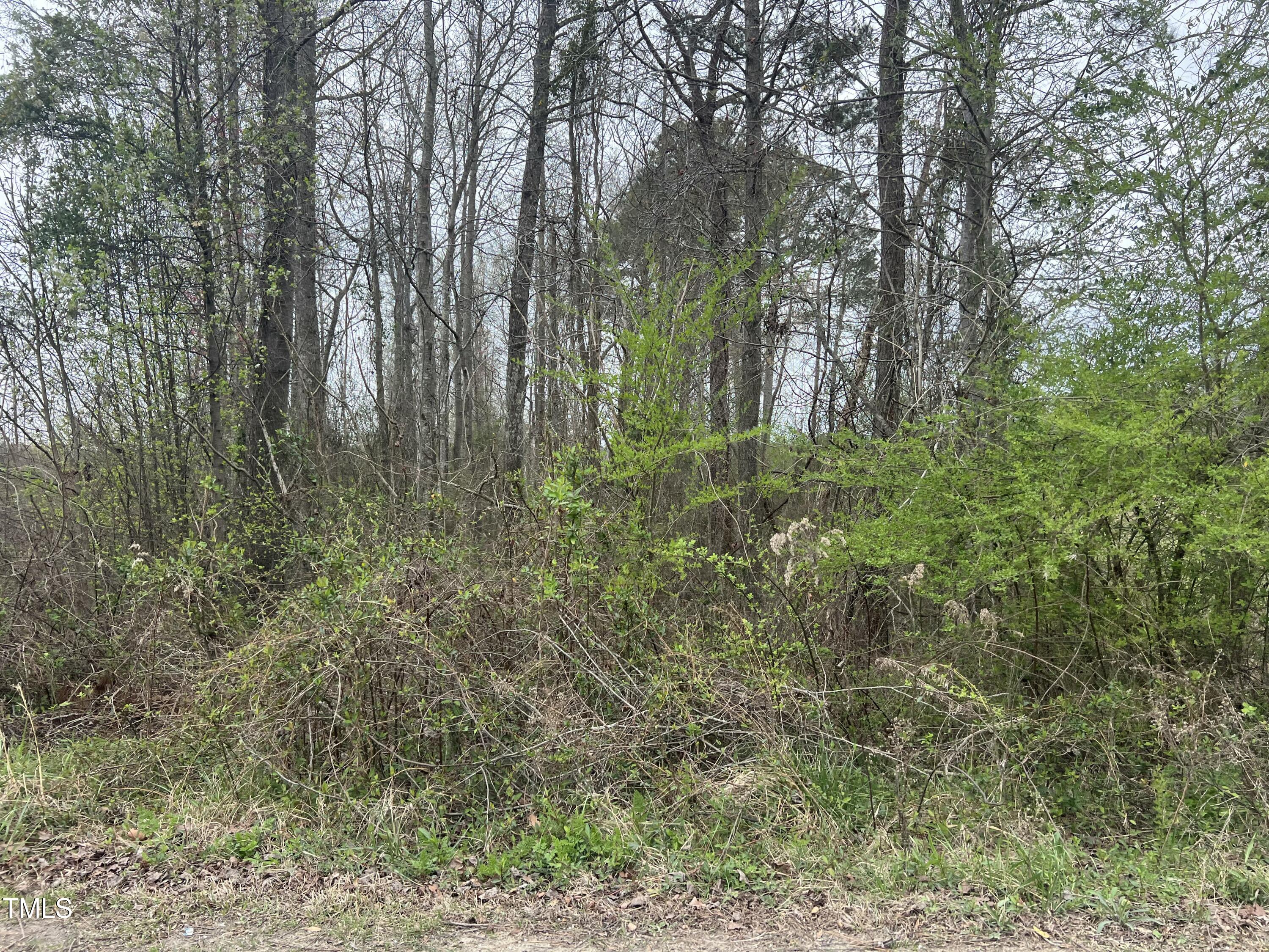 0 Trouble Road Property Photo 3