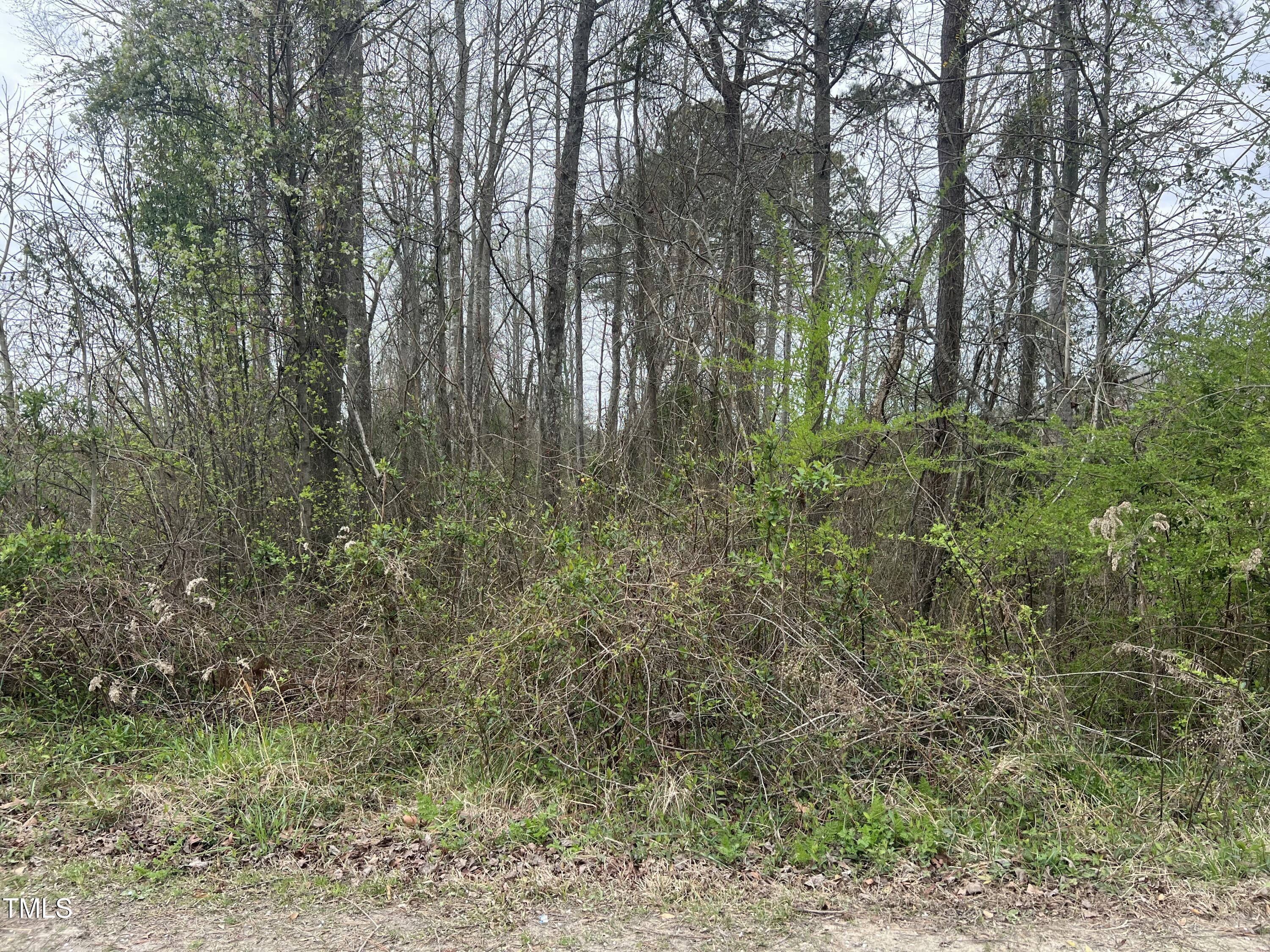 0 Trouble Road Property Photo 4