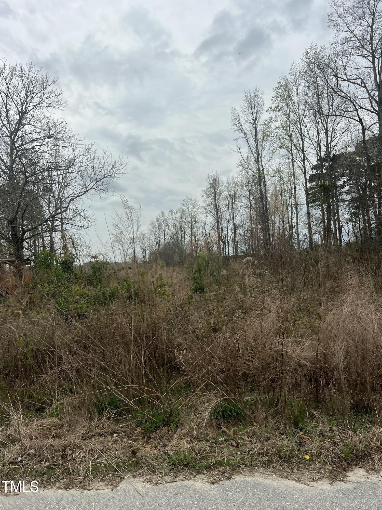 0 Trouble Road Property Photo 6