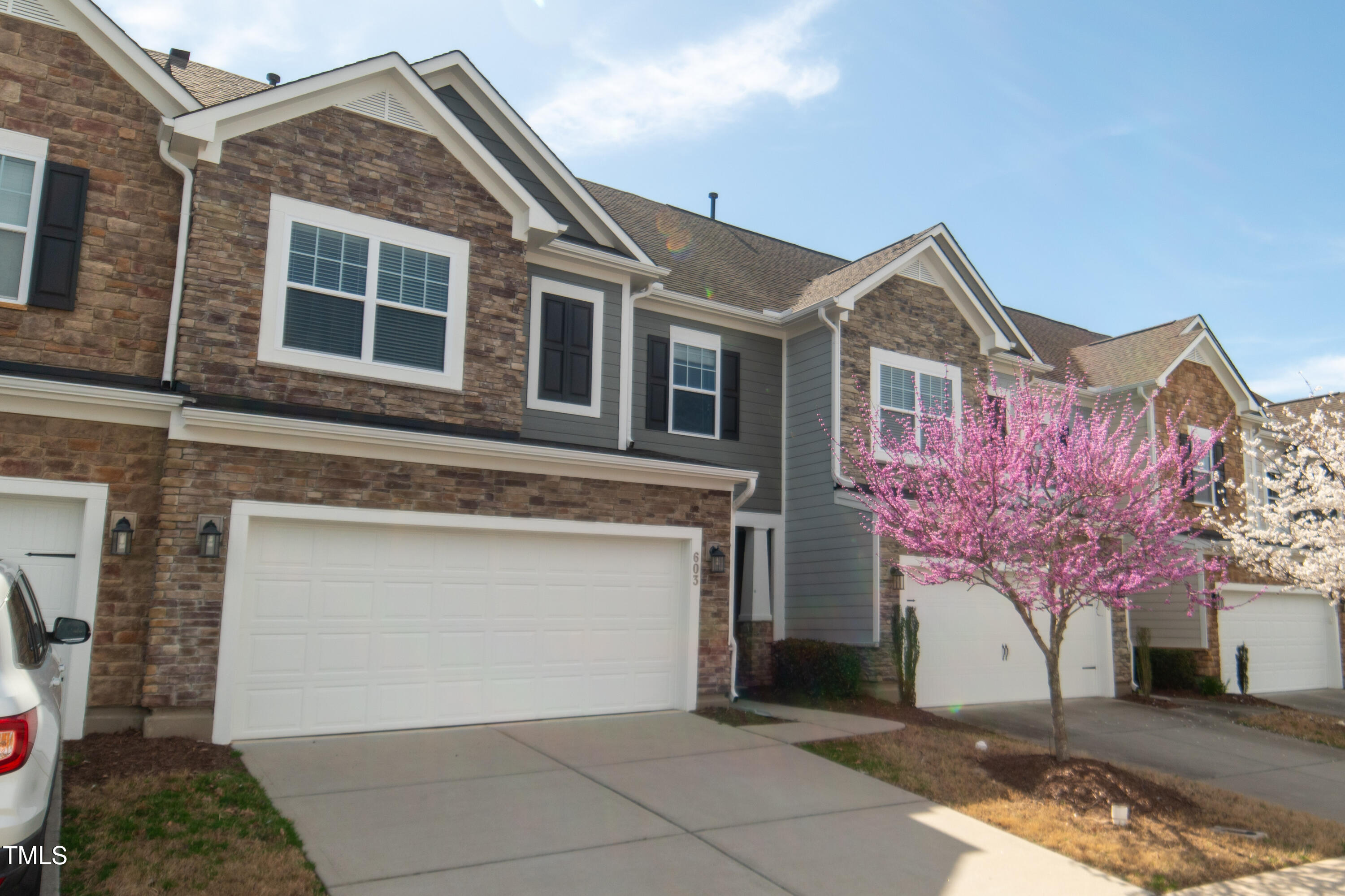 603 Mountain Pine Drive Property Photo