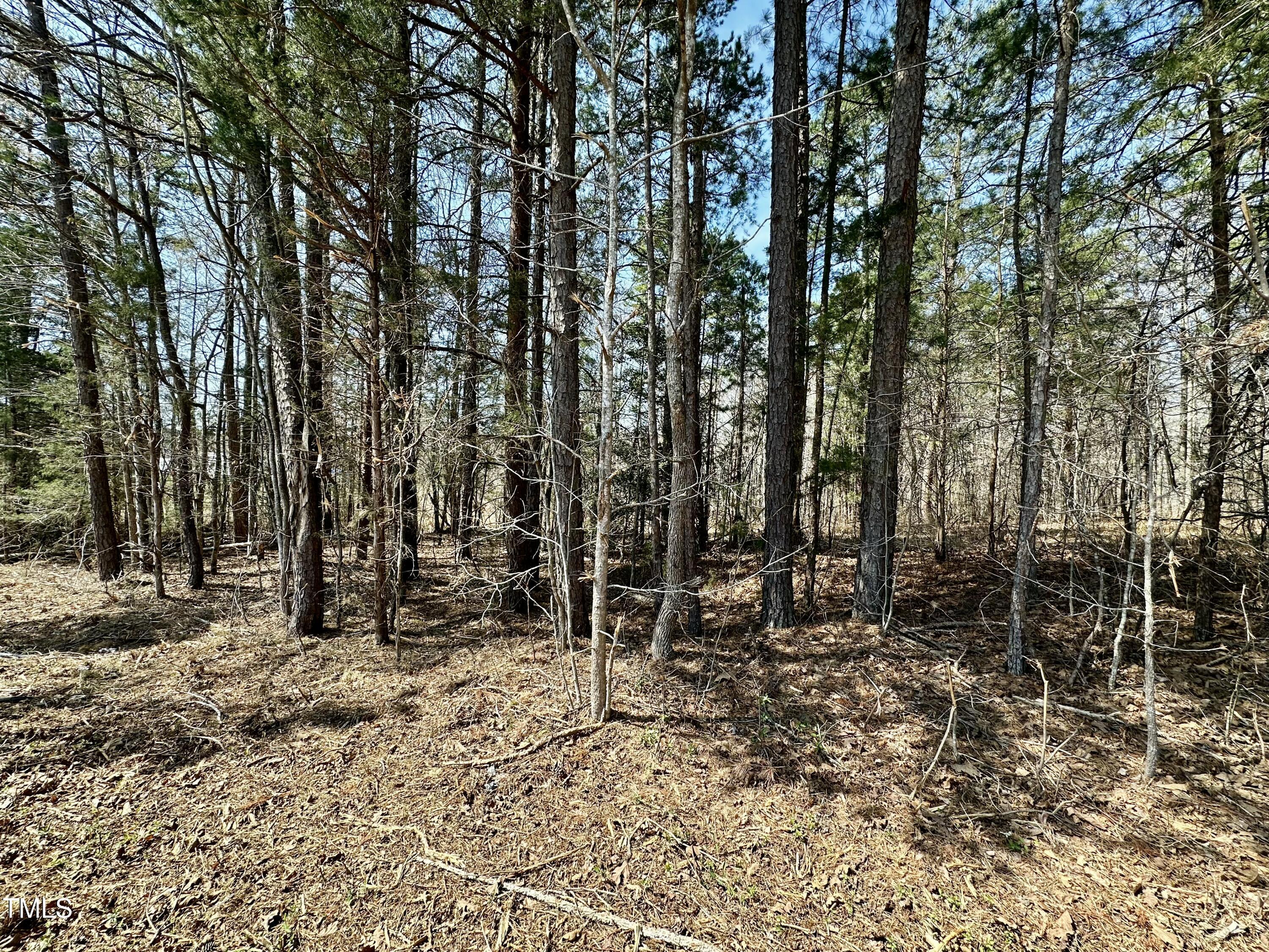 4.90 Acres Julian Oakley Road Property Photo