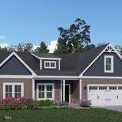 146 Surles Landing Way Property Photo 1