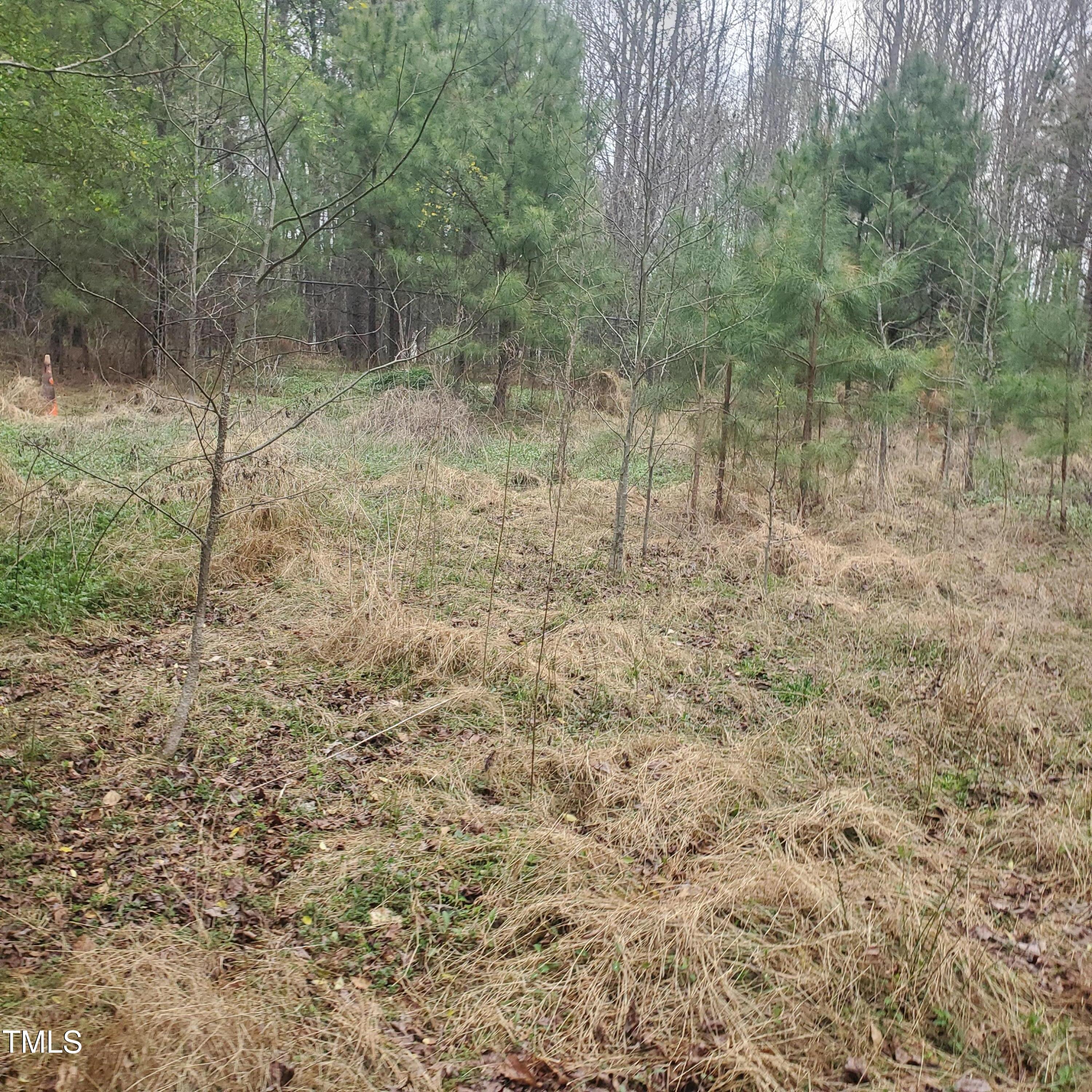 4117 Pearl Road Property Photo
