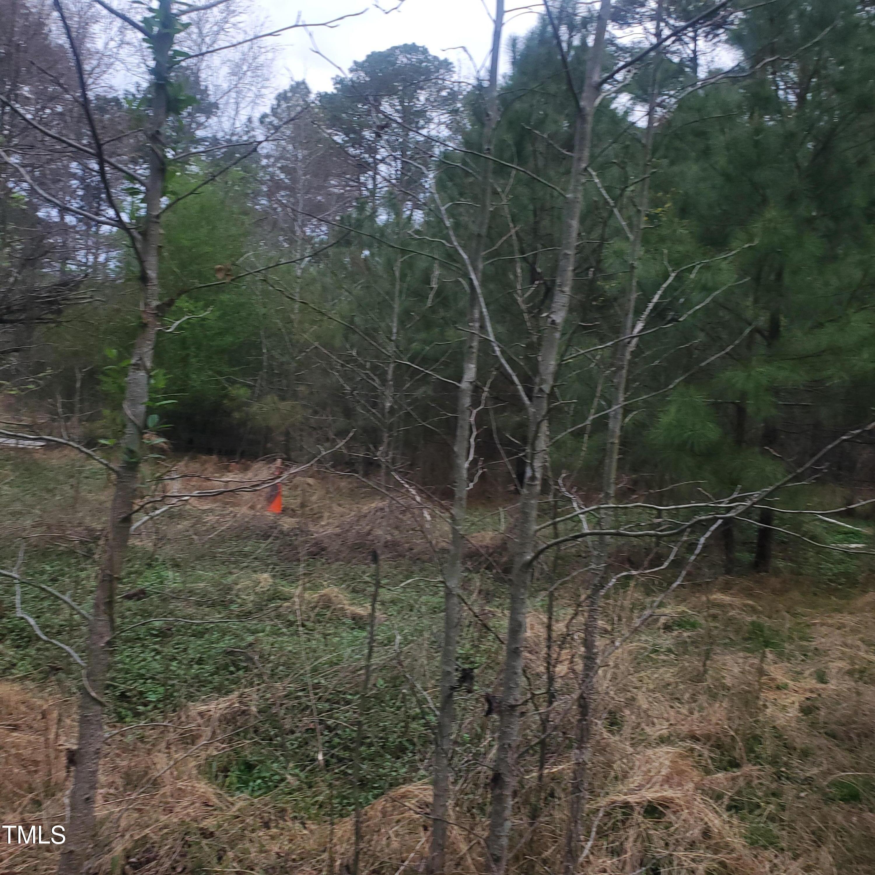 4117 Pearl Road Property Photo 2