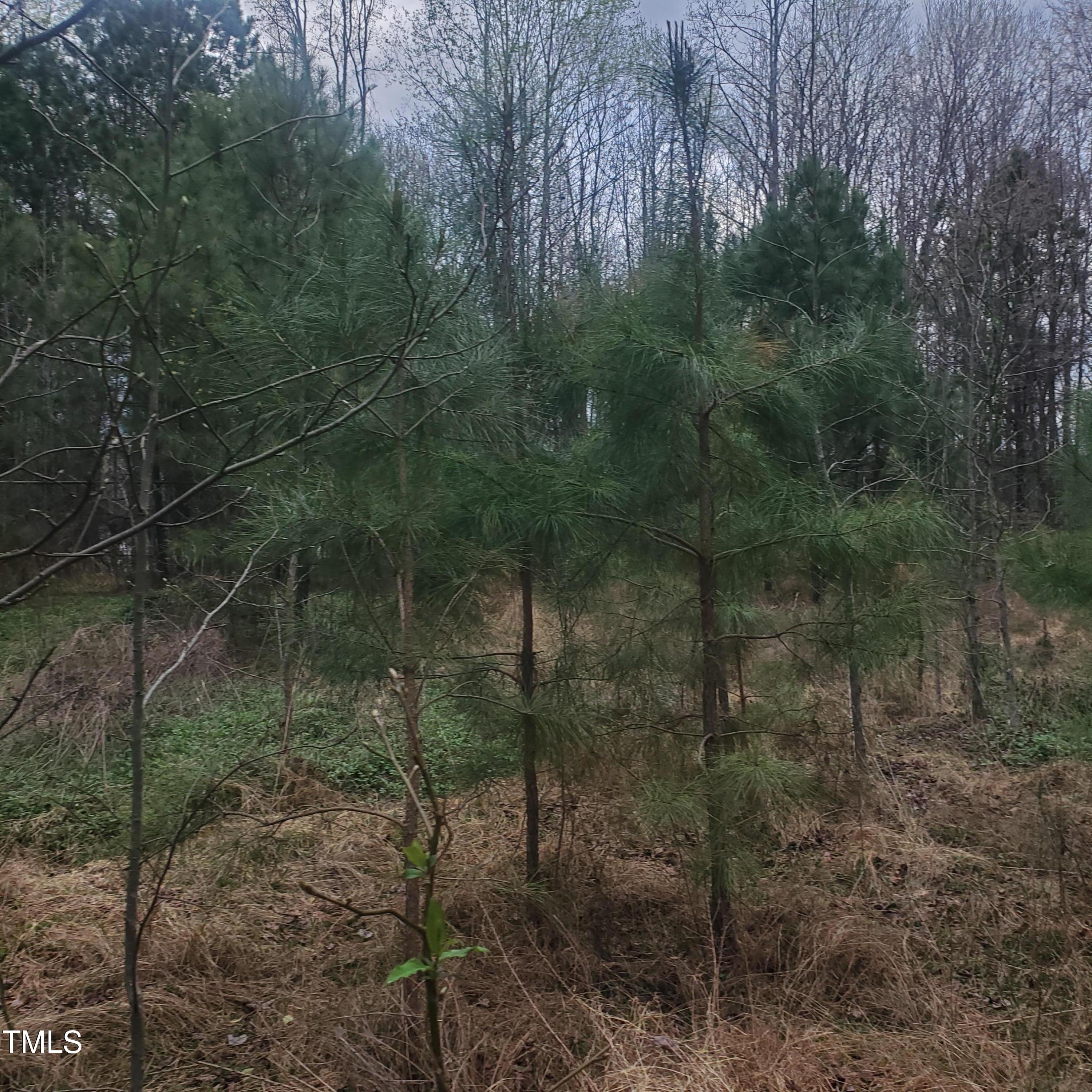 4117 Pearl Road Property Photo 3