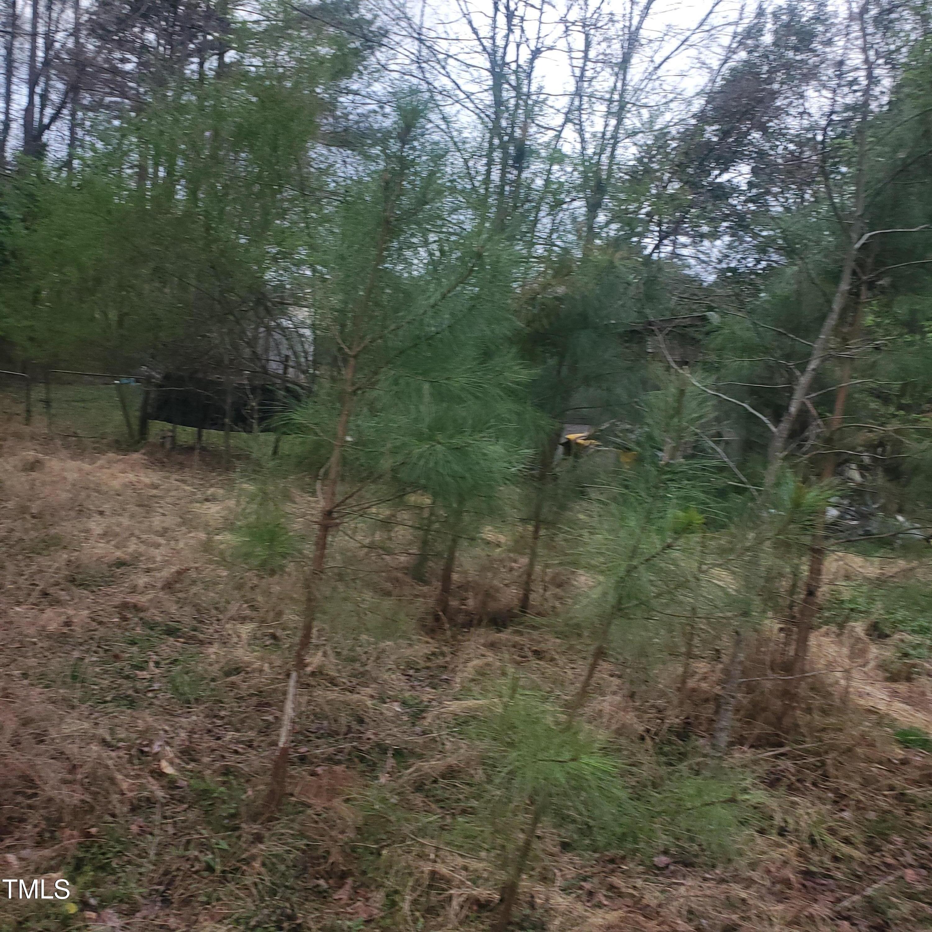 4117 Pearl Road Property Photo 4