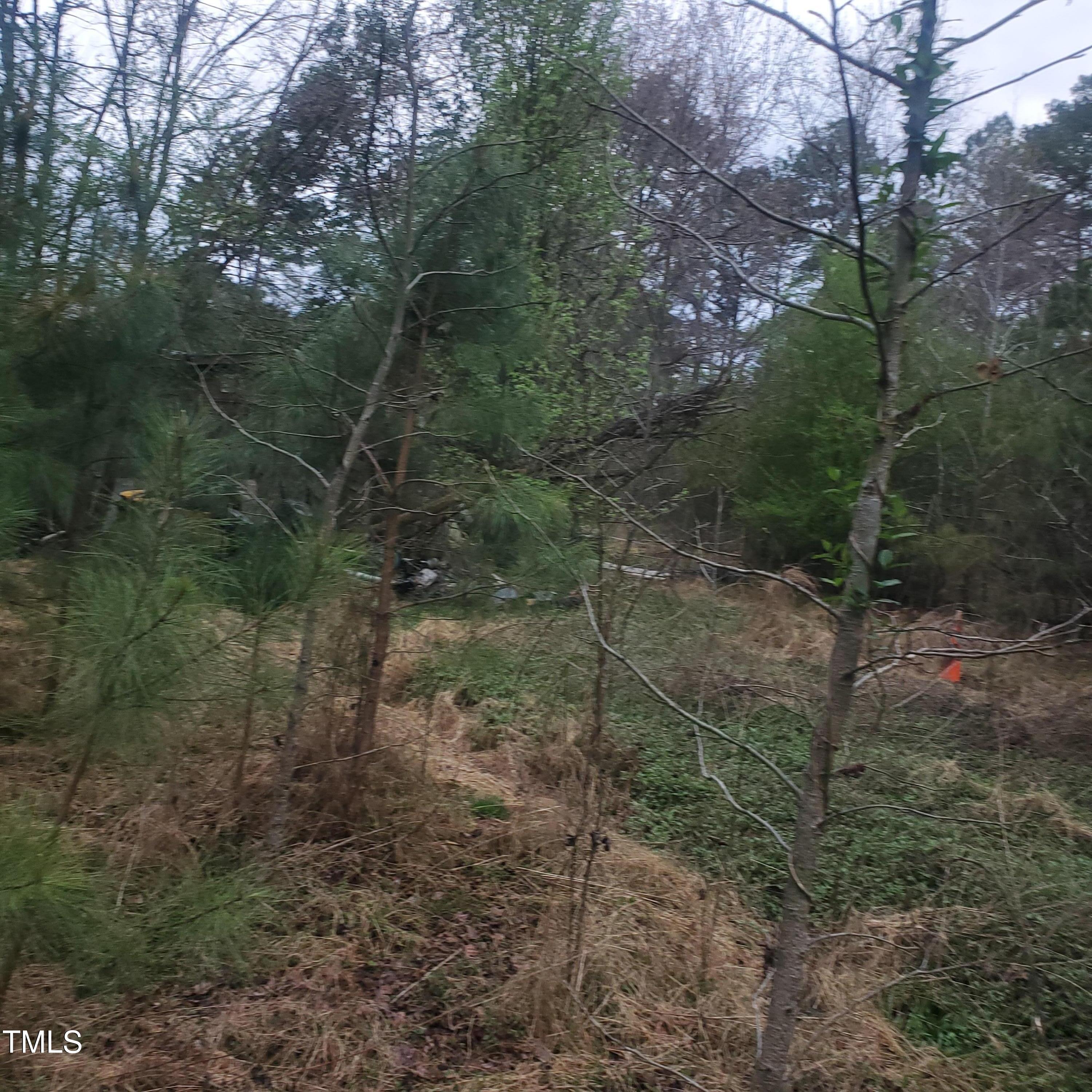 4117 Pearl Road Property Photo 5