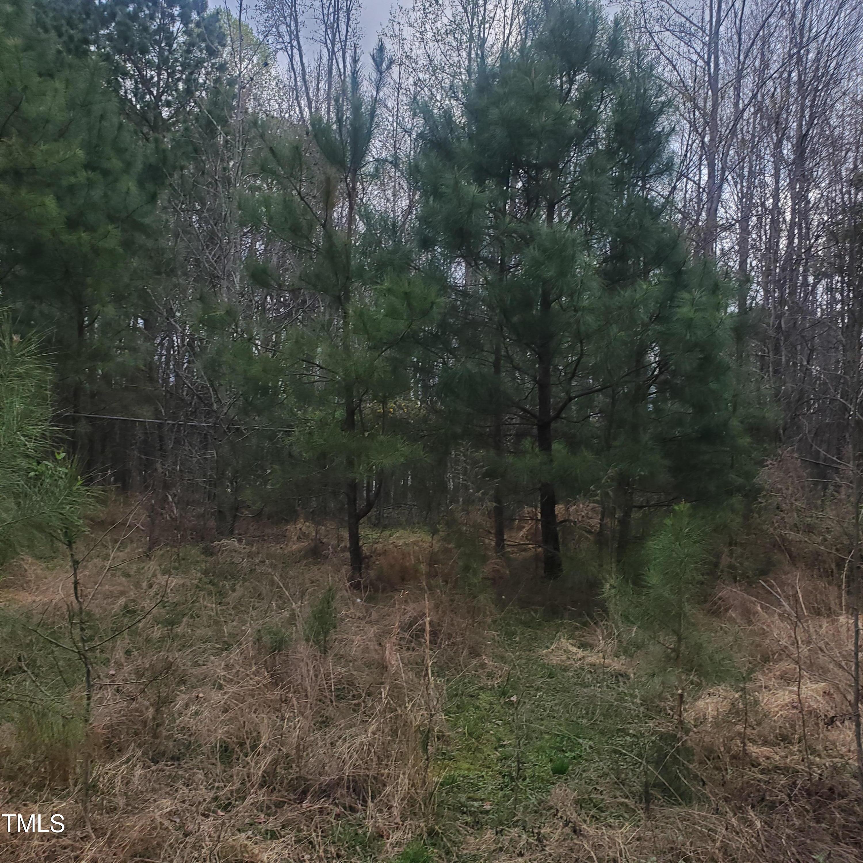 4117 Pearl Road Property Photo 6