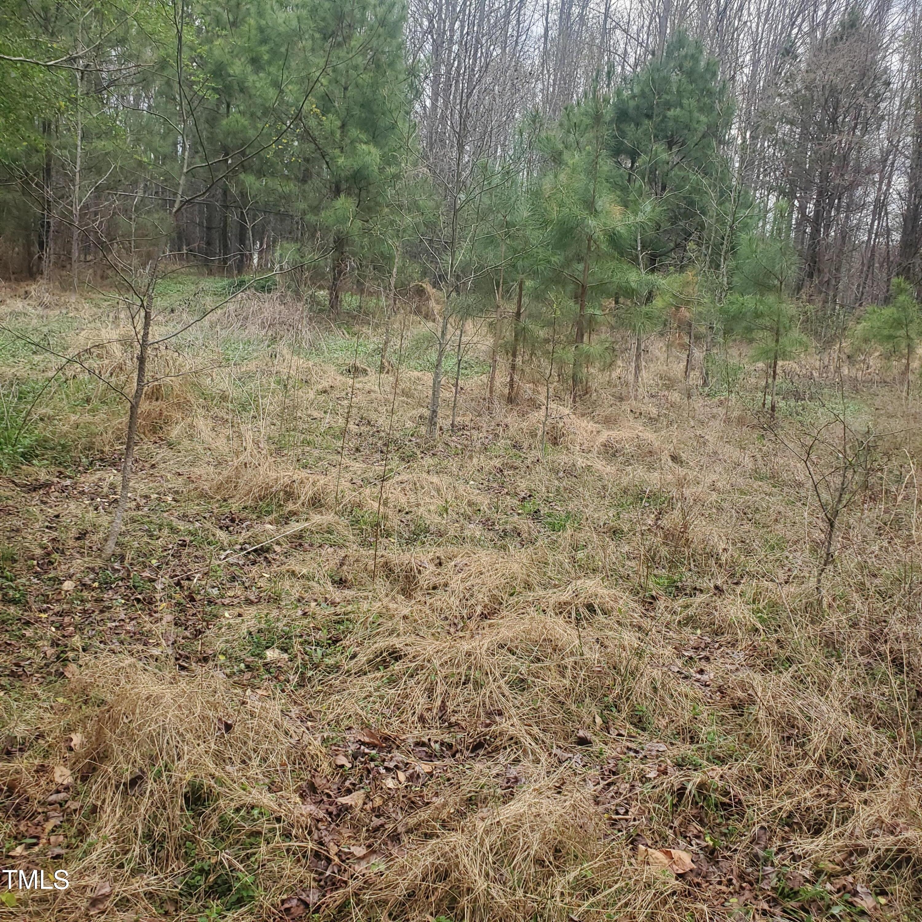 4117 Pearl Road Property Photo 8