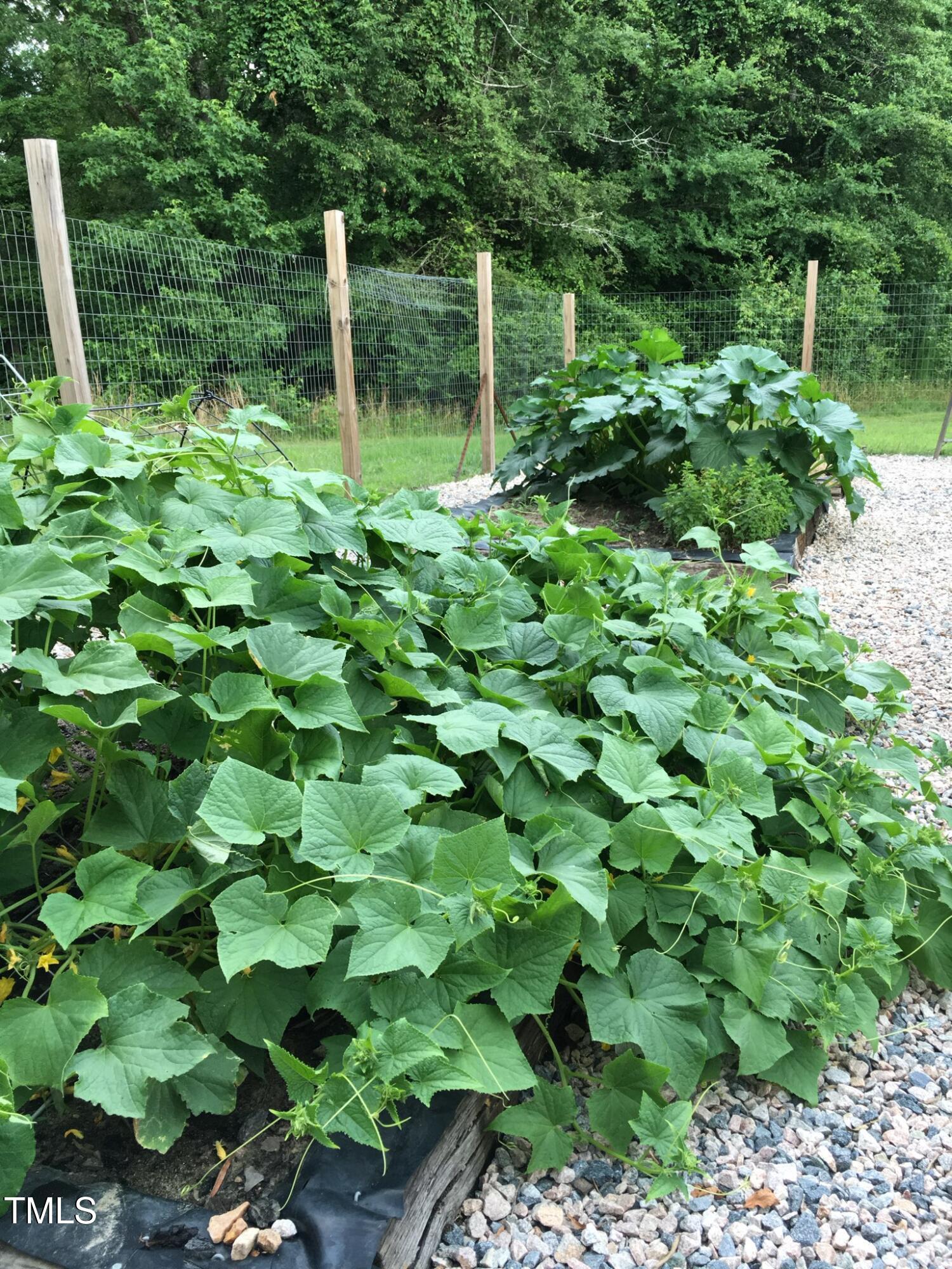 1188 Turner Road Property Photo 46