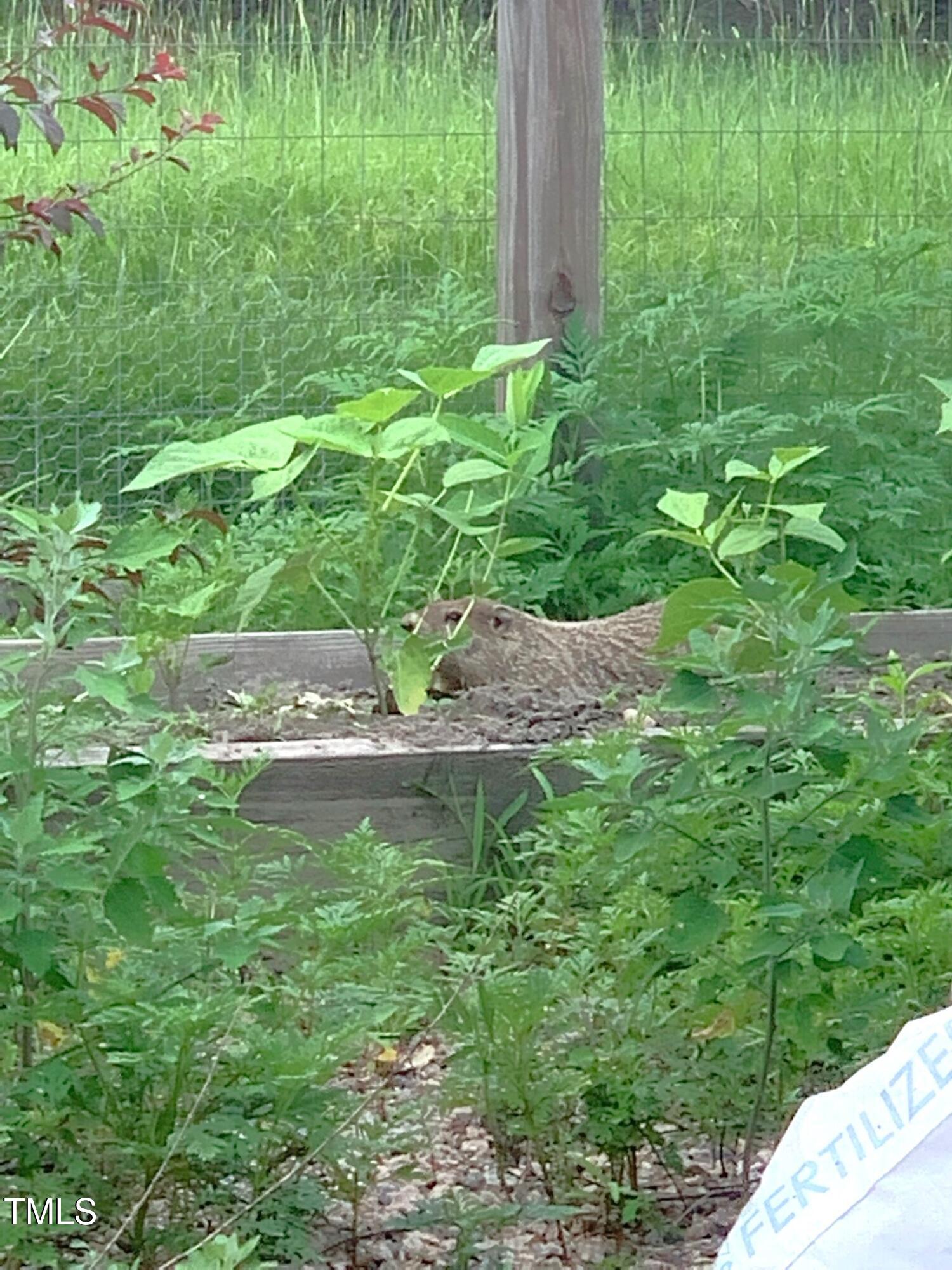 1188 Turner Road Property Photo 47