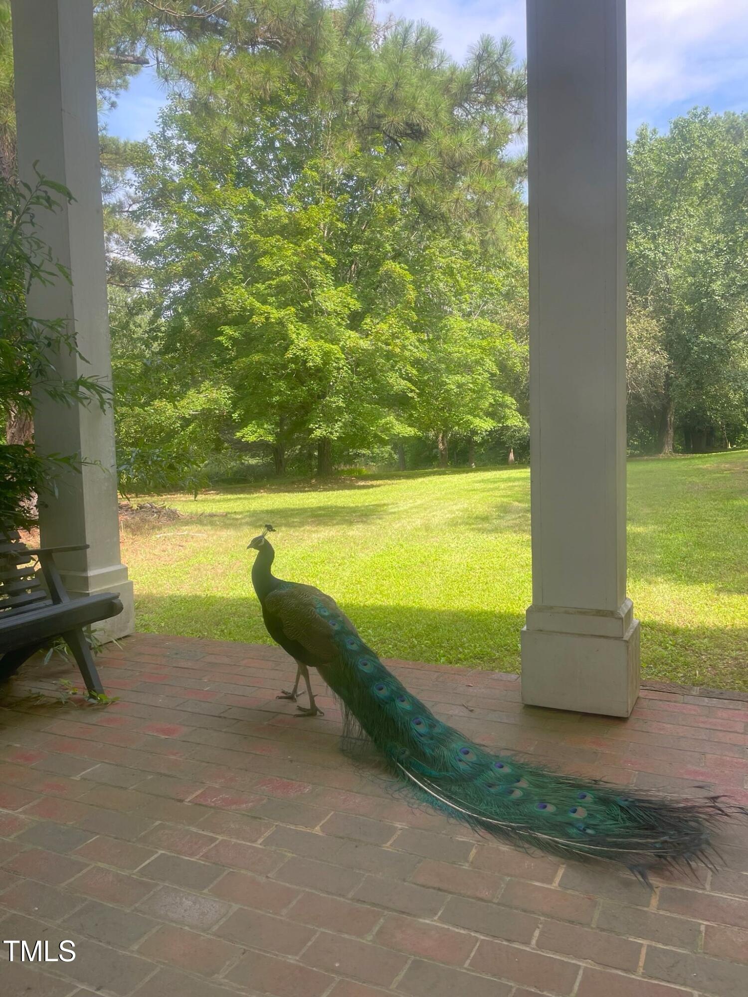 1188 Turner Road Property Photo 48