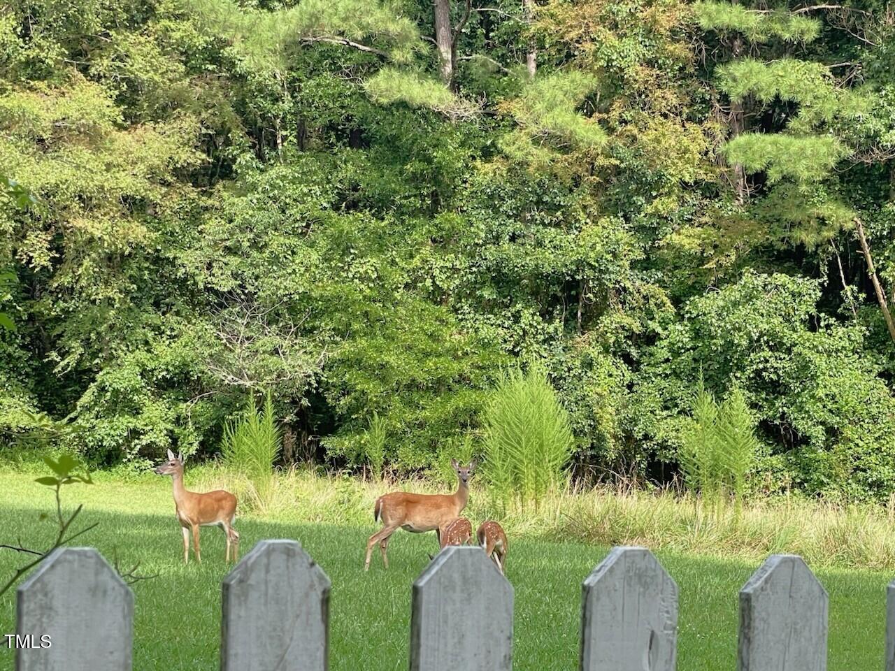 1188 Turner Road Property Photo 50