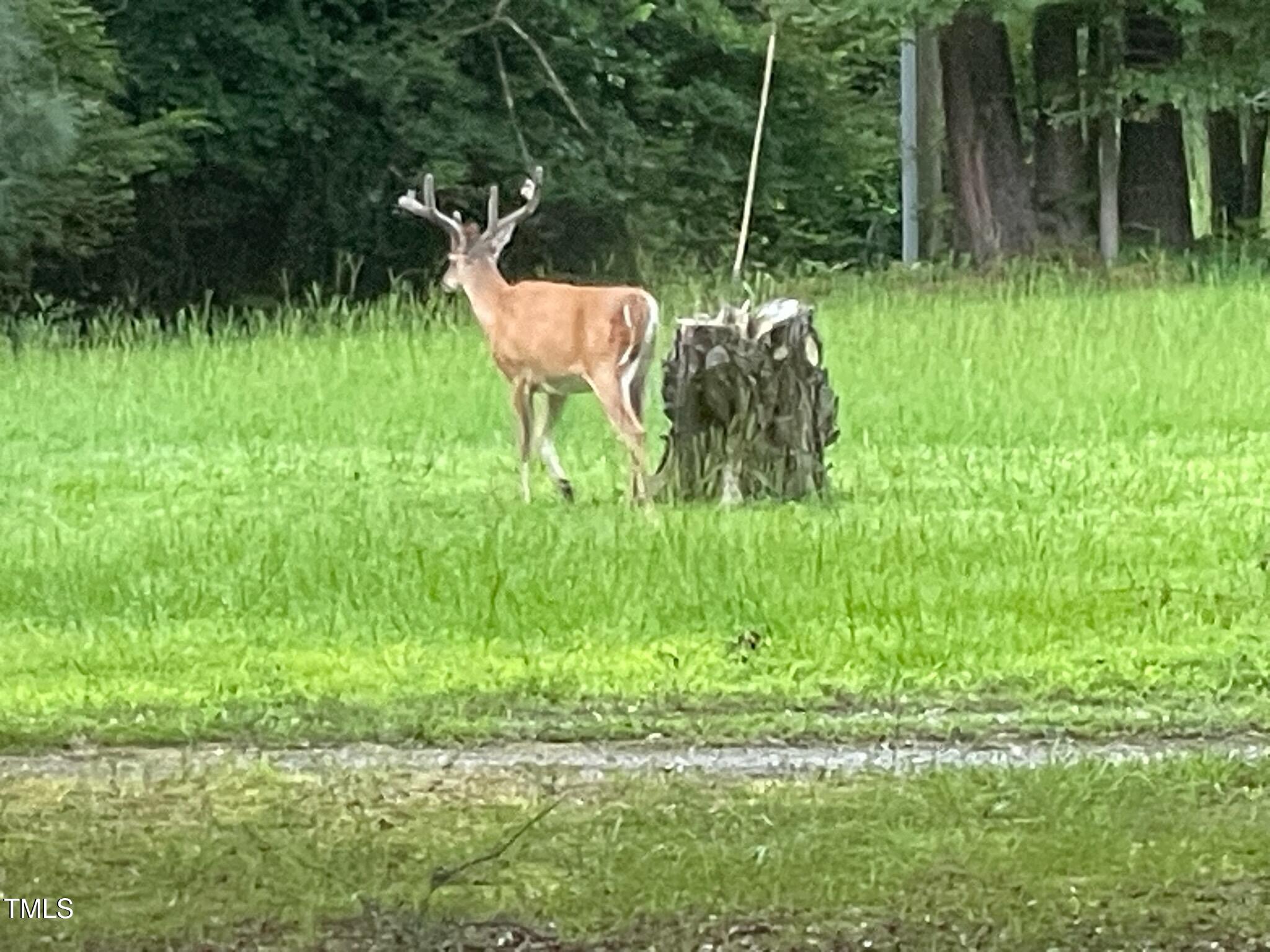 1188 Turner Road Property Photo 51