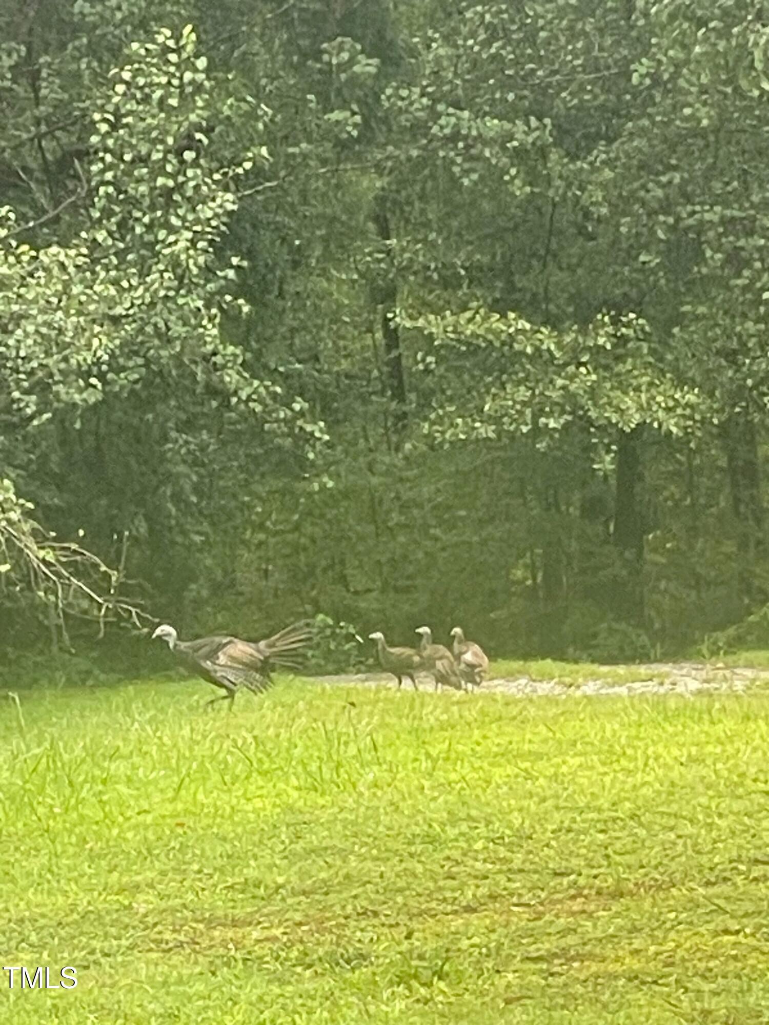 1188 Turner Road Property Photo 52