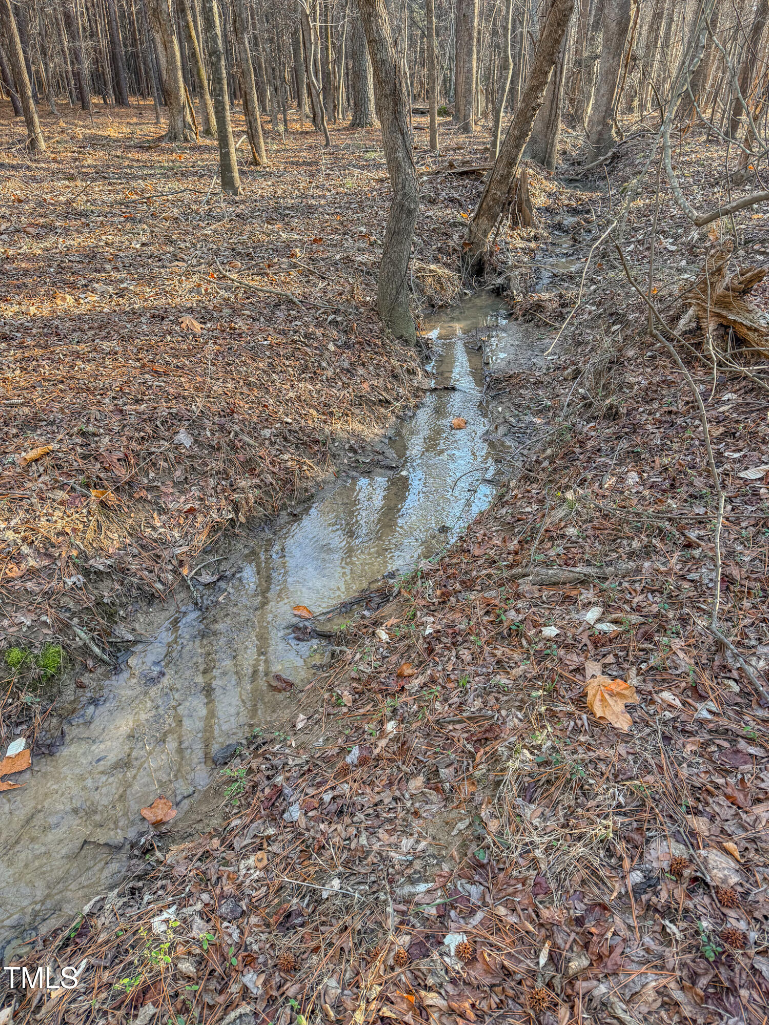 604 Orange Factory Road Property Photo 13