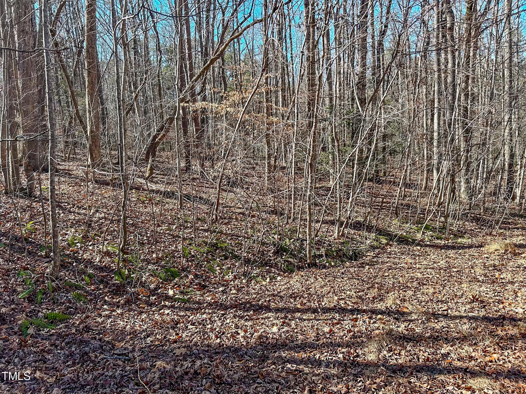 Lot 42 Oak Knob Court Property Photo