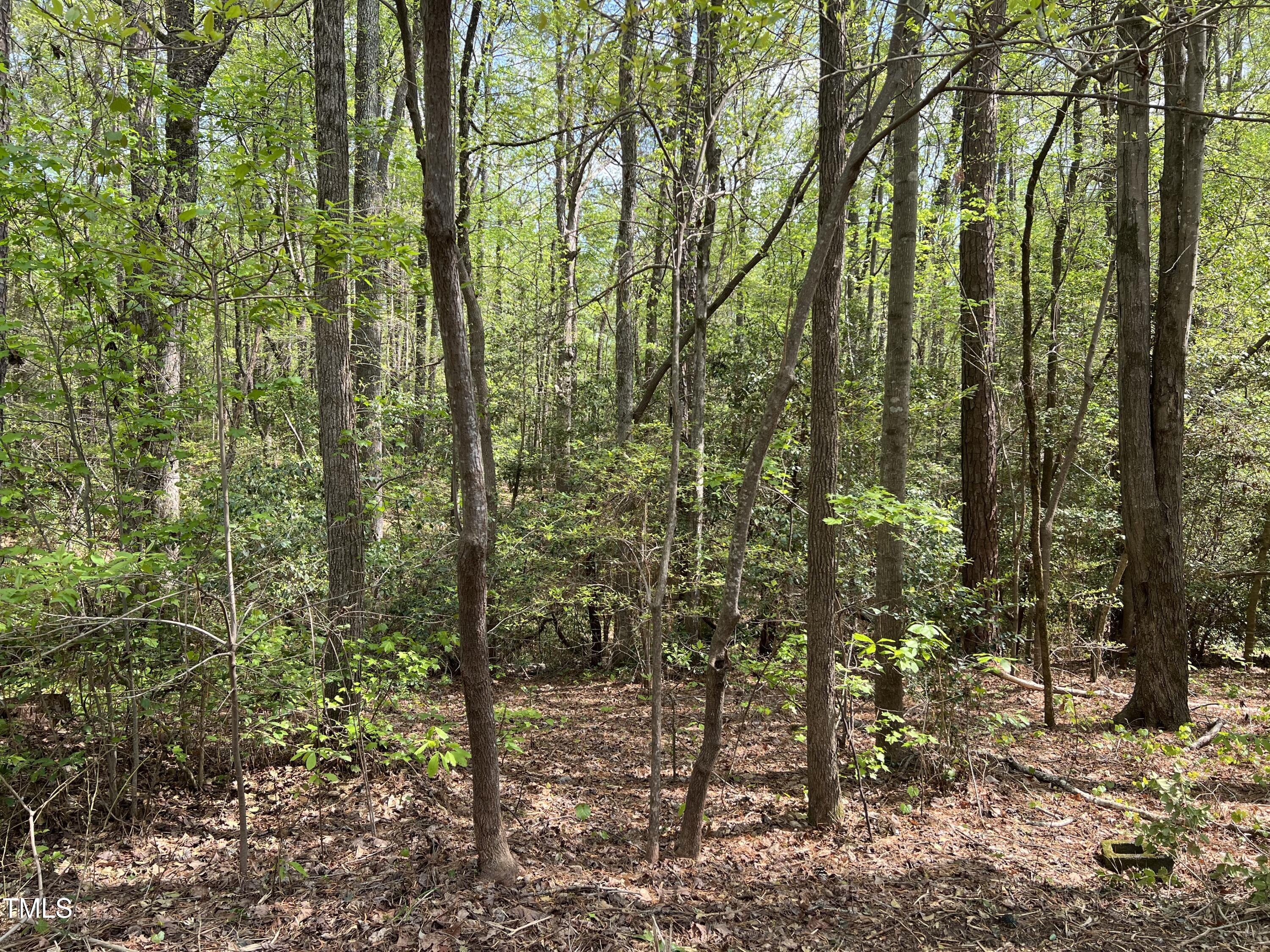 413 Back Bay Property Photo 1