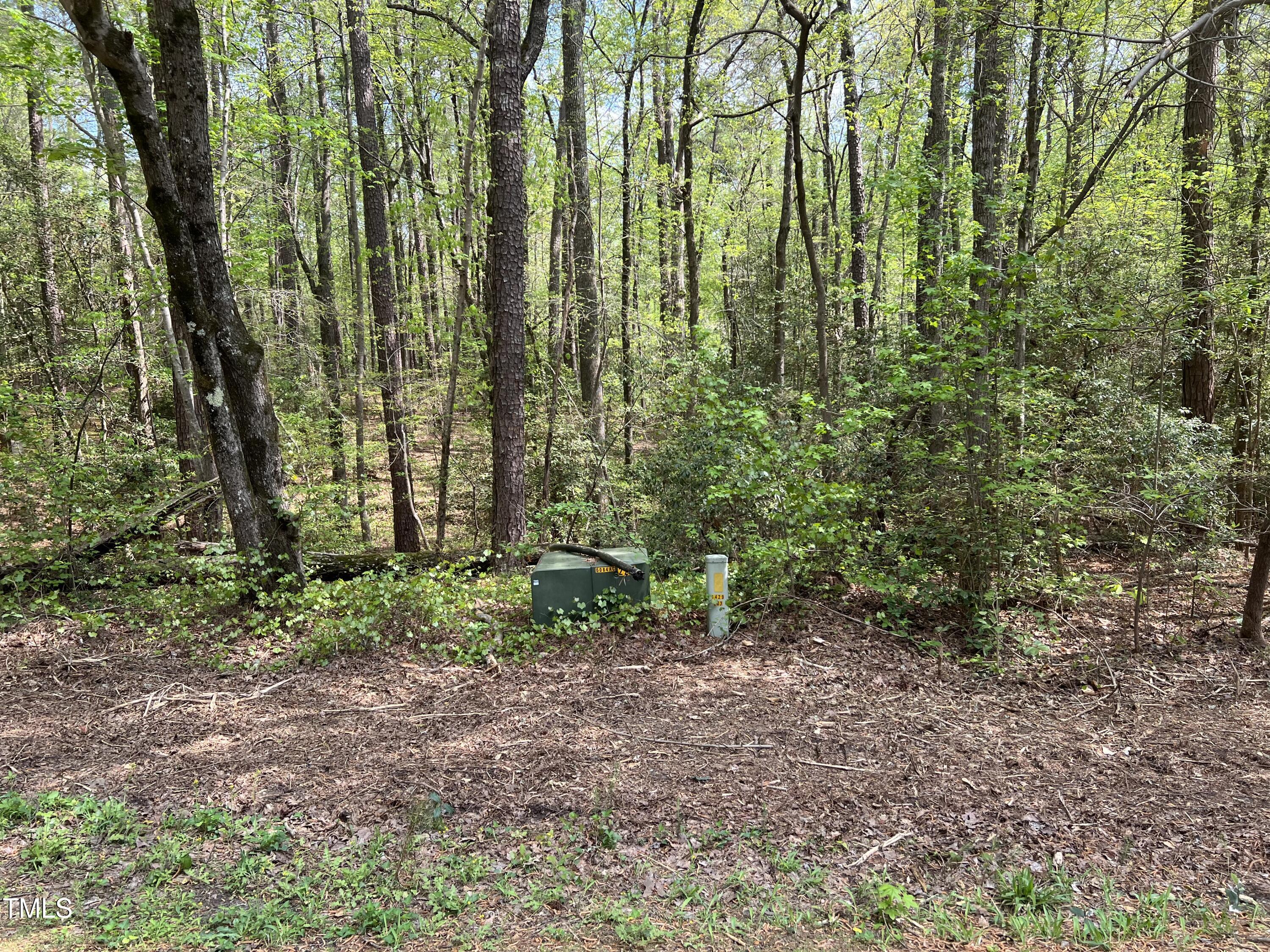 413 Back Bay Property Photo 2