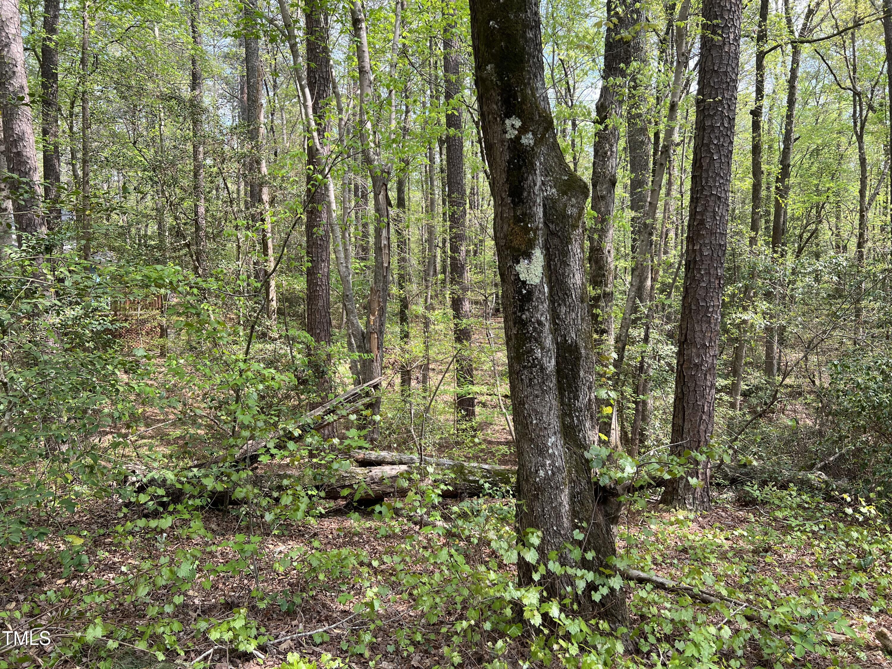 413 Back Bay Property Photo 10
