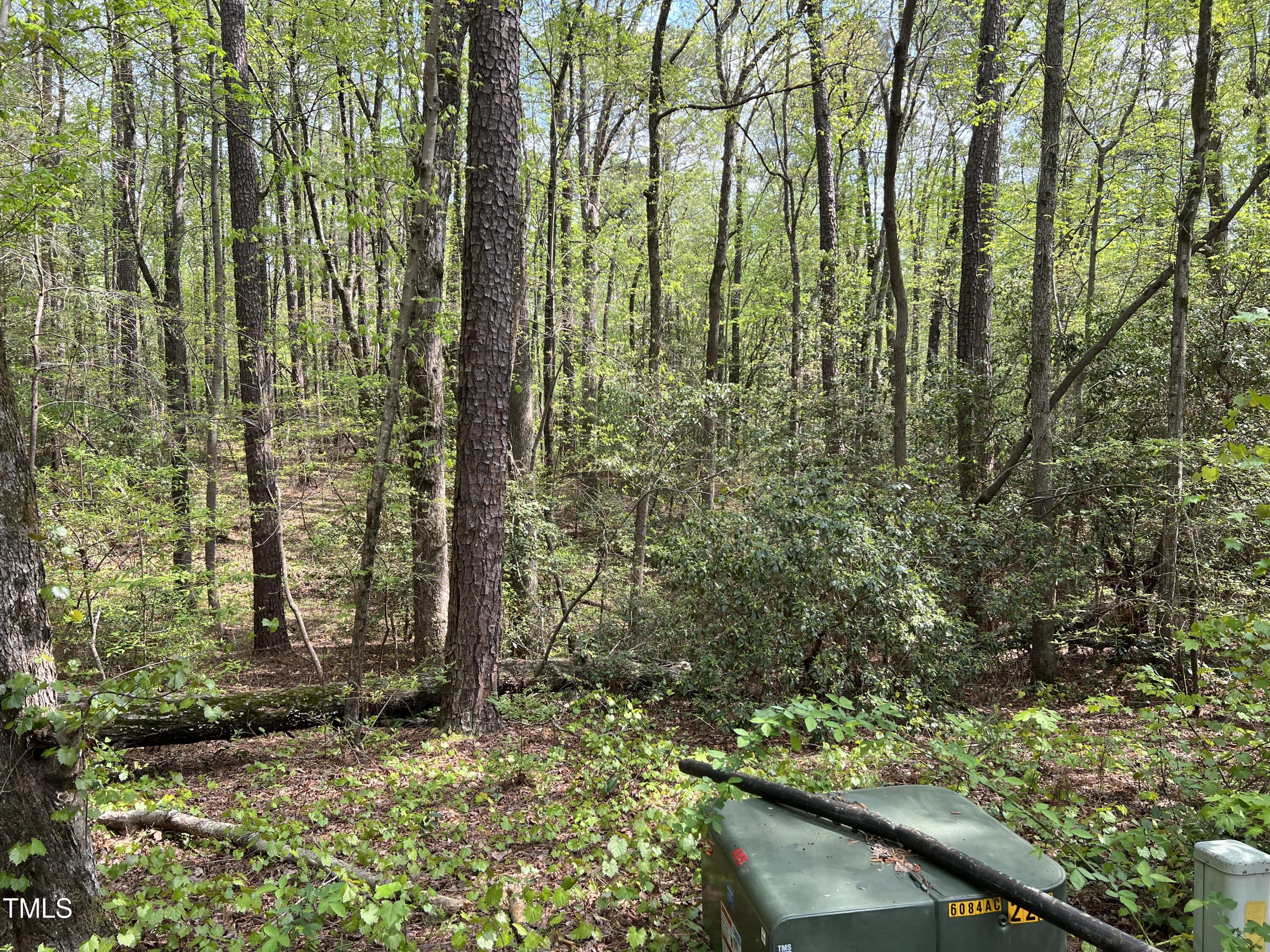 413 Back Bay Property Photo 12