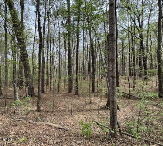 0 Lot 336 Forest Hills Drive Property Photo 1