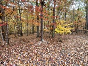 30.58ac Enon Road Property Photo