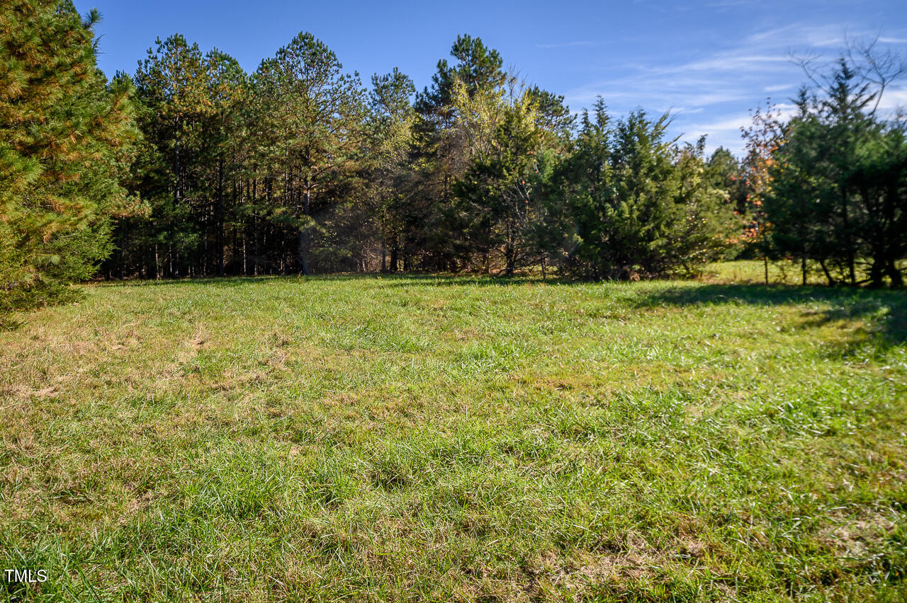 206 Pike Memory Lane Property Photo 4